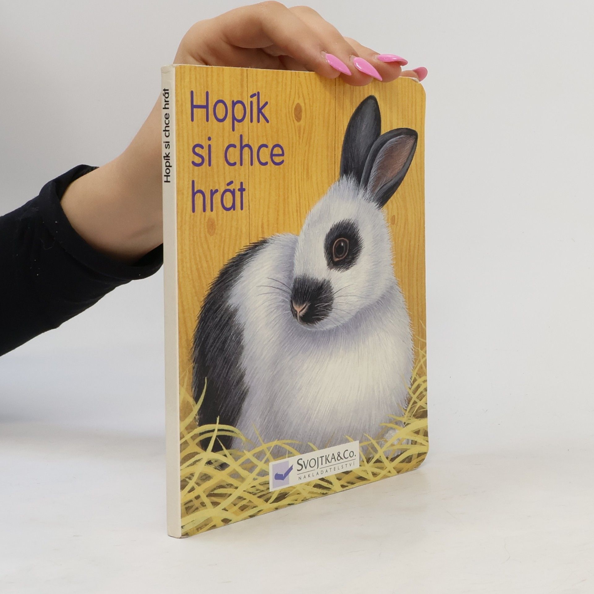 Autorenkollektiv Hopík si chce hrát