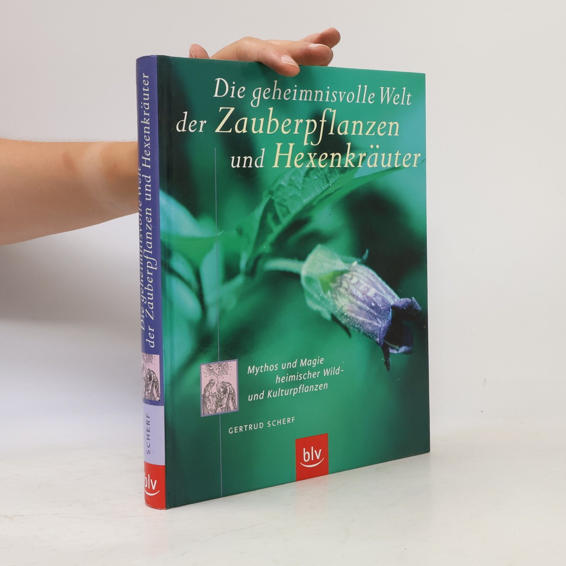 Gertrud Scherf Die geheimnisvolle Welt der Zauberpflanzen und Hexenkräuter