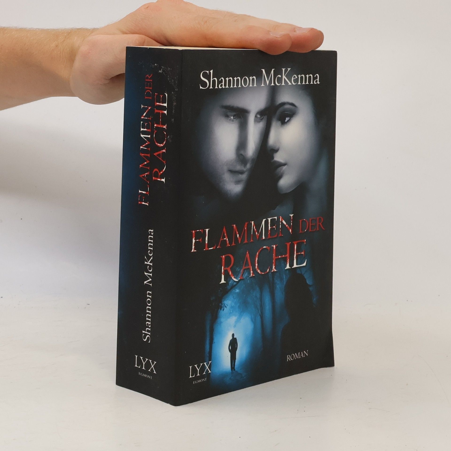 Shannon McKenna Flammen der Rache