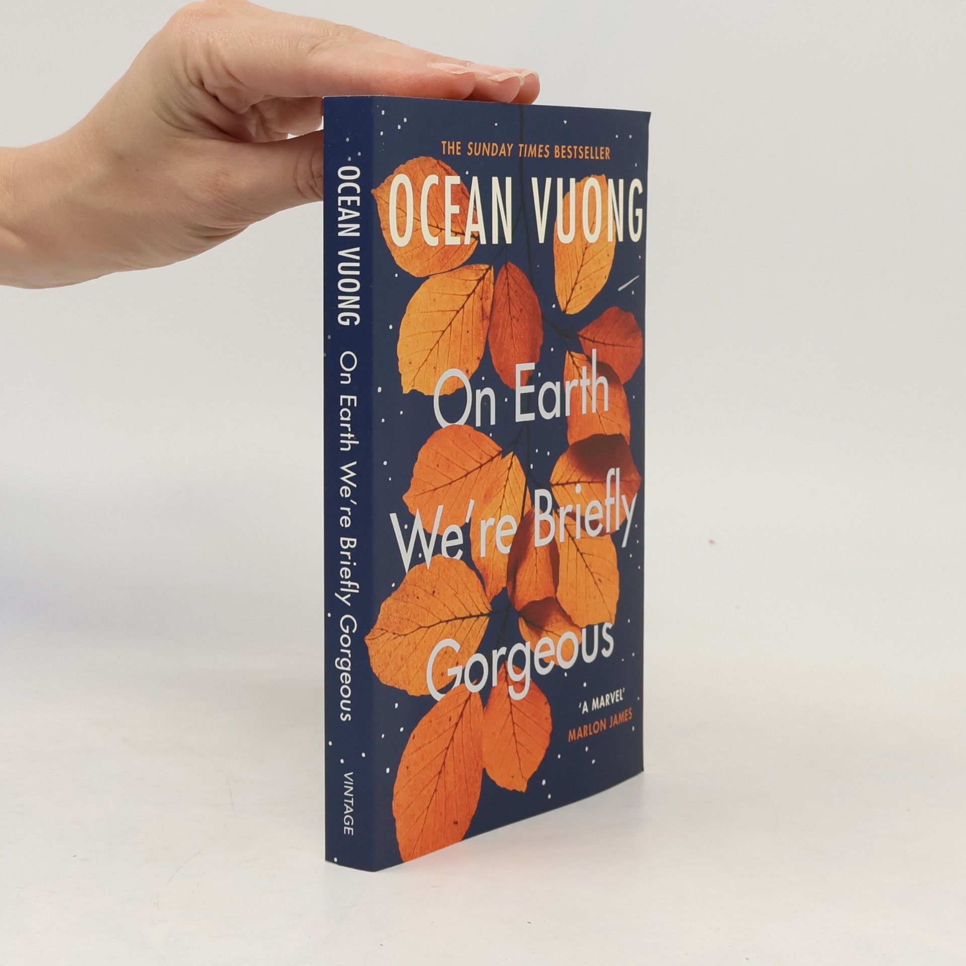 Ocean Vuong On Earth We're Briefly Gorgeous