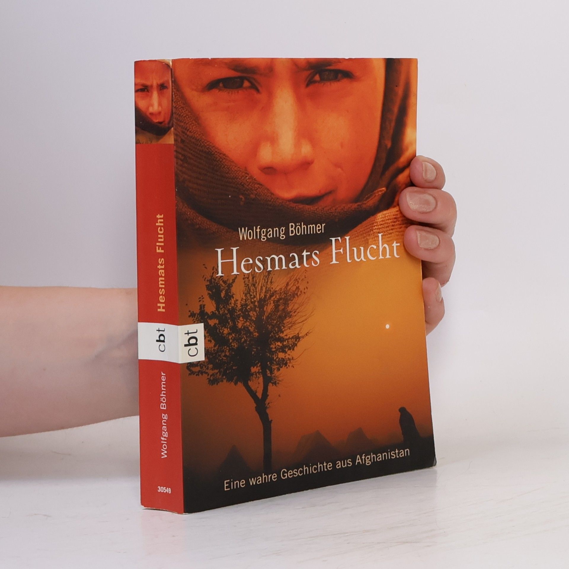 Wolfgang Böhmer Hesmats Flucht
