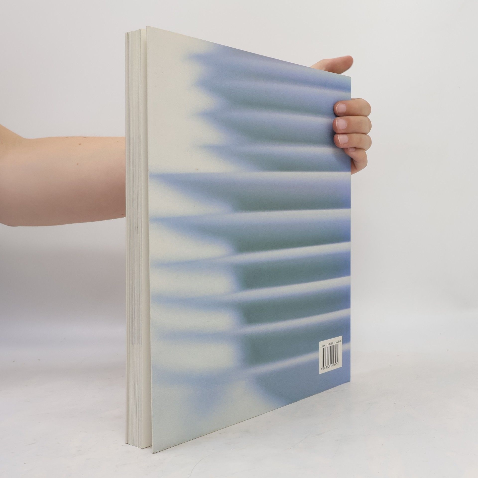 Donna Hay Die Kunst des Einladens