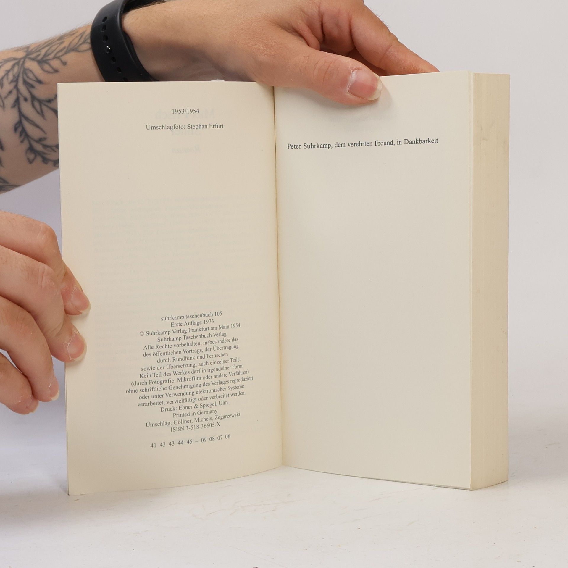 Max Frisch Stiller