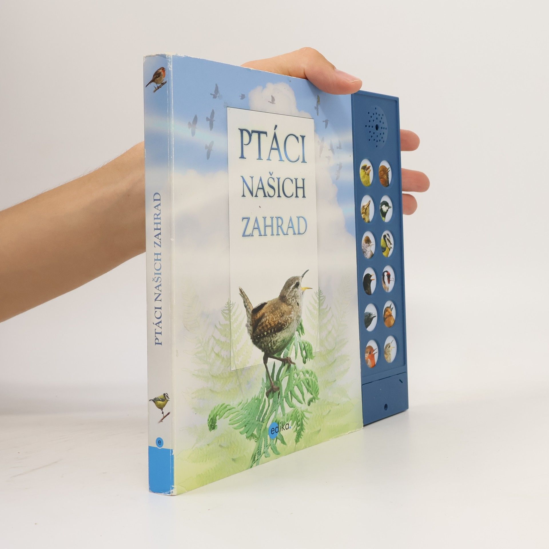 Andrea Pinnington Ptáci našich zahrad