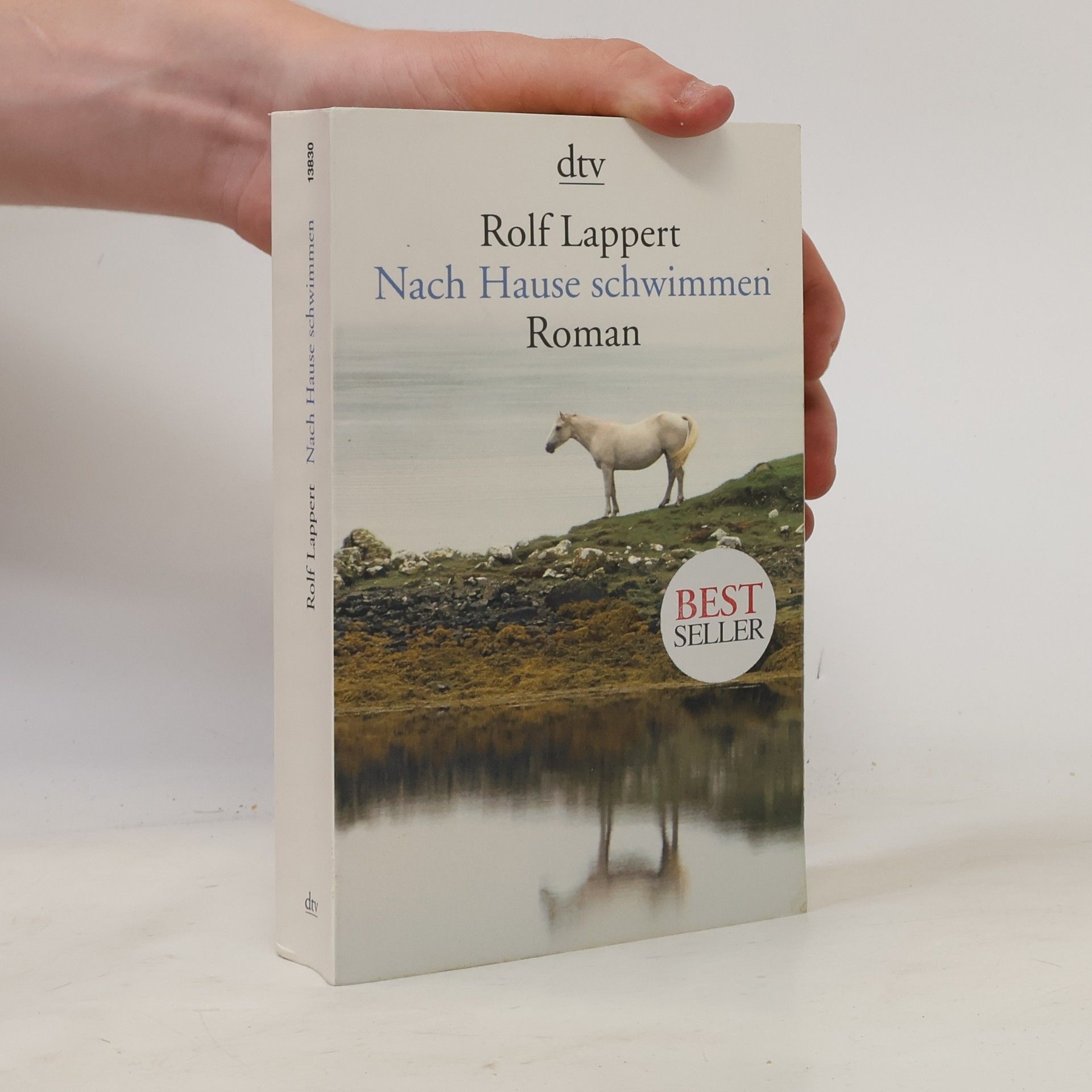 Rolf Lappert Nach Hause schwimmen