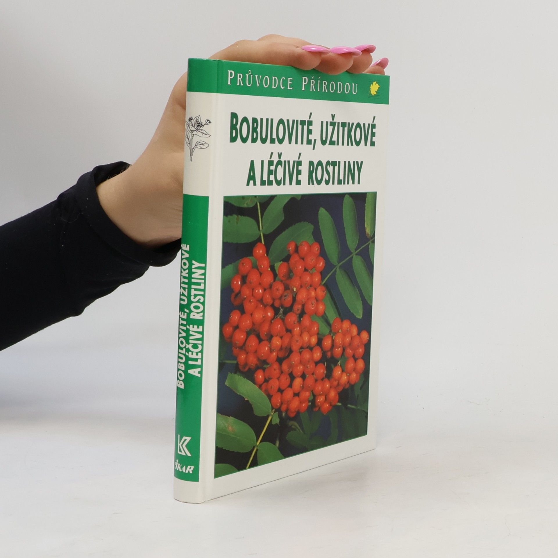 Jürke Grau Bobulovité, užitkové a léčivé rostliny
