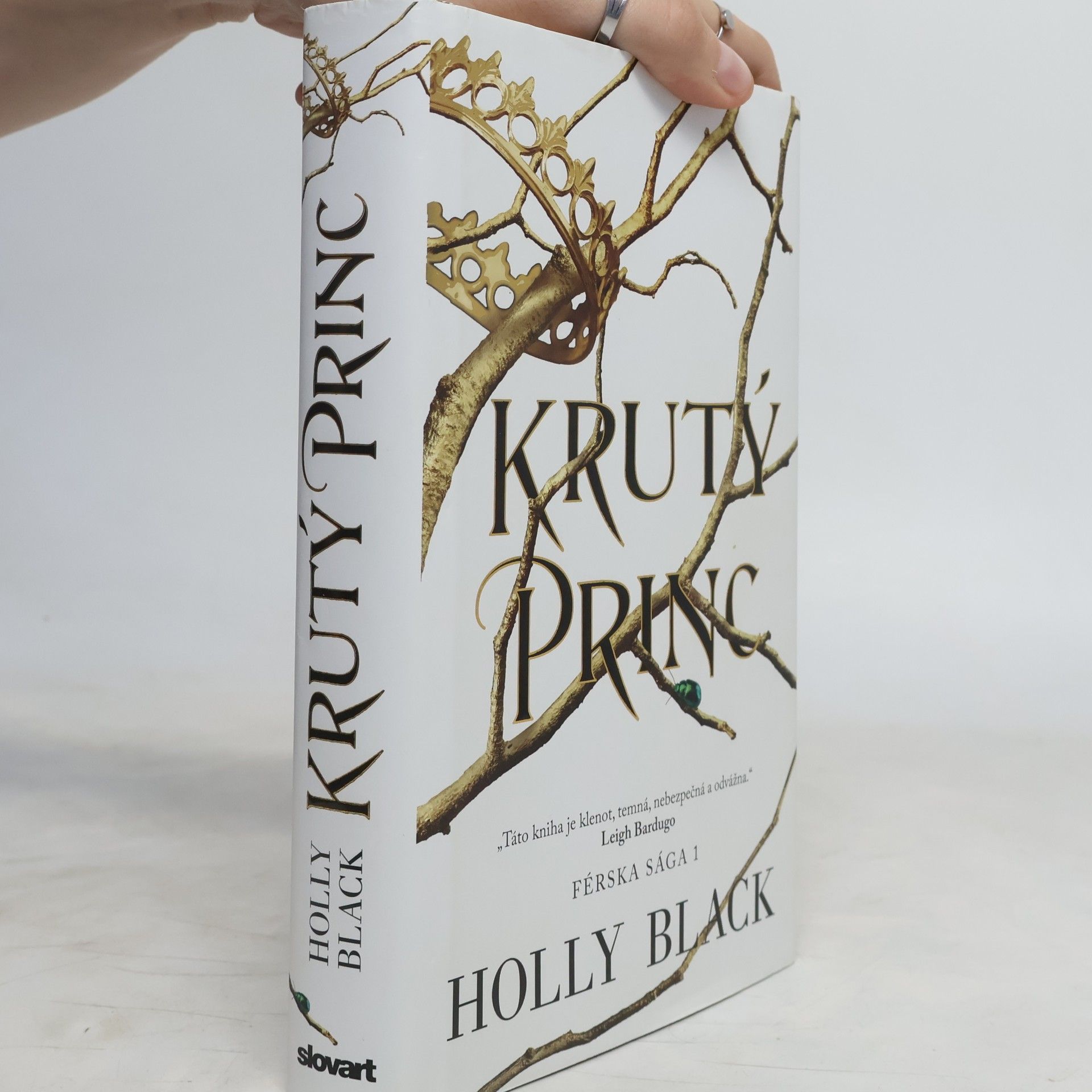 Holly Black Krutý princ