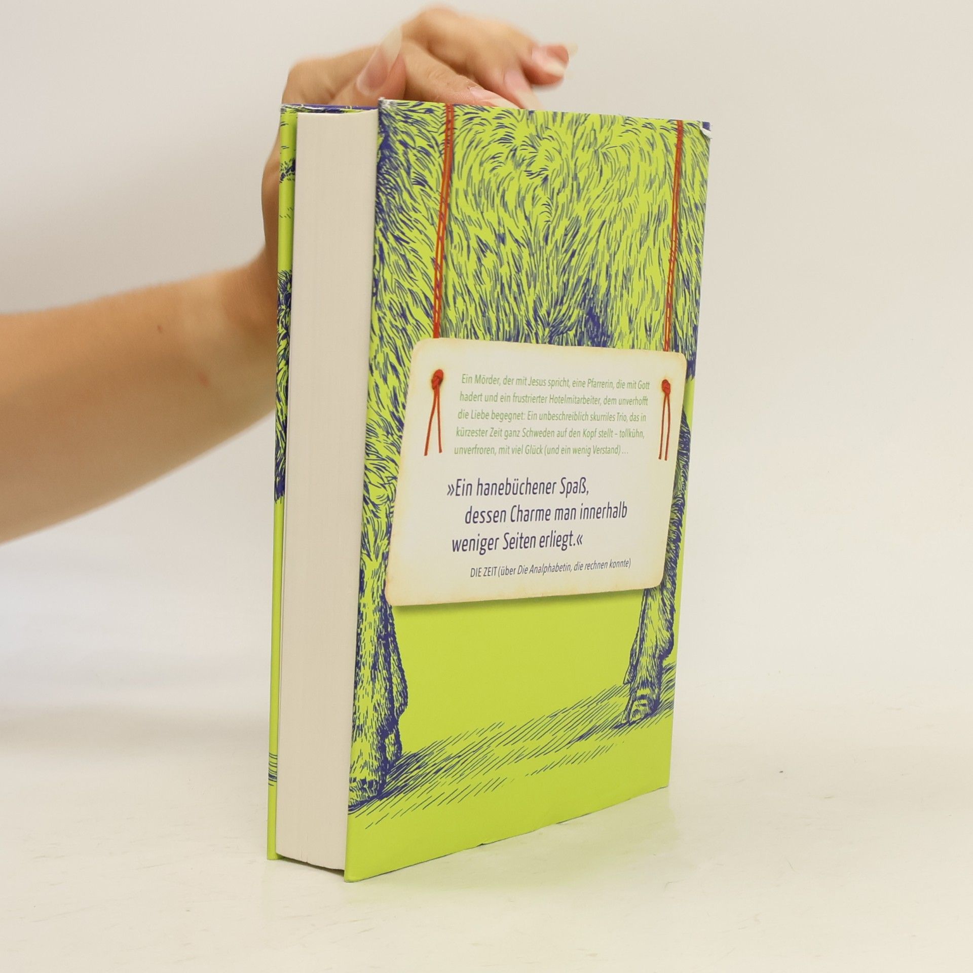 Jonas Jonasson Mörder Anders und seine Freunde nebst dem einen oder anderen Feind