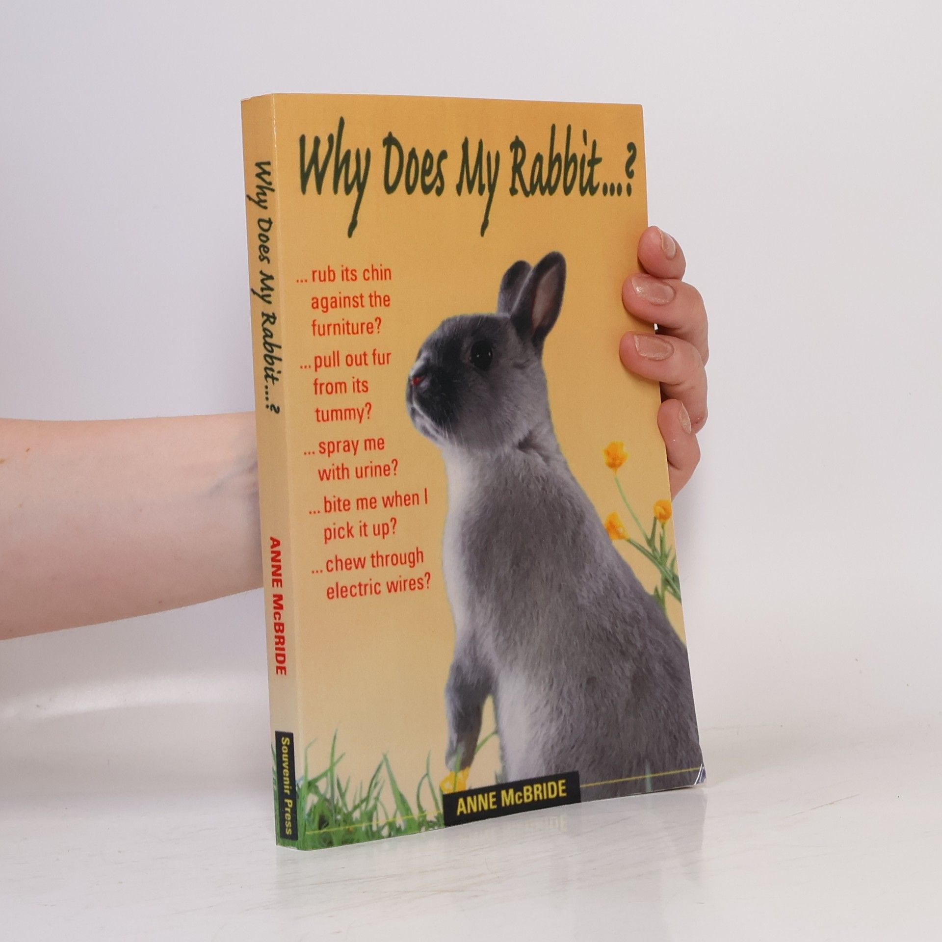 Anne McBride Why Does My Rabbit . . . ?