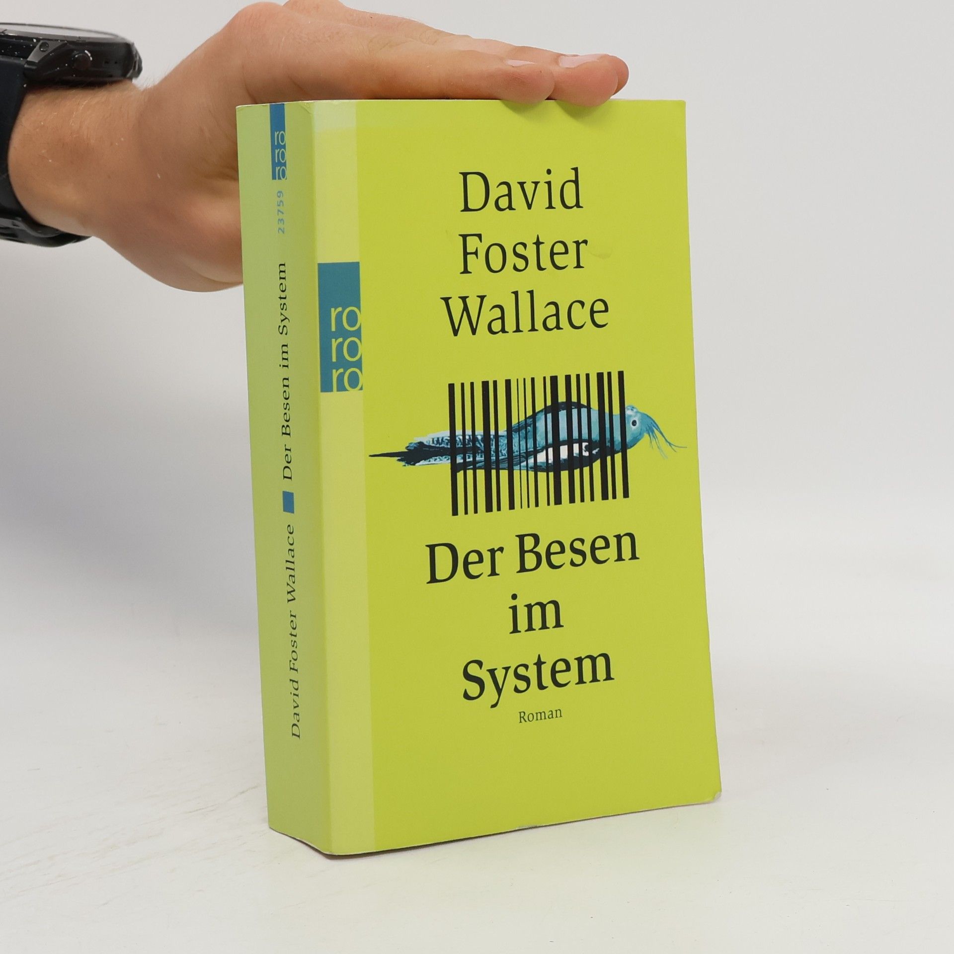 David Foster Wallace Der Besen im System