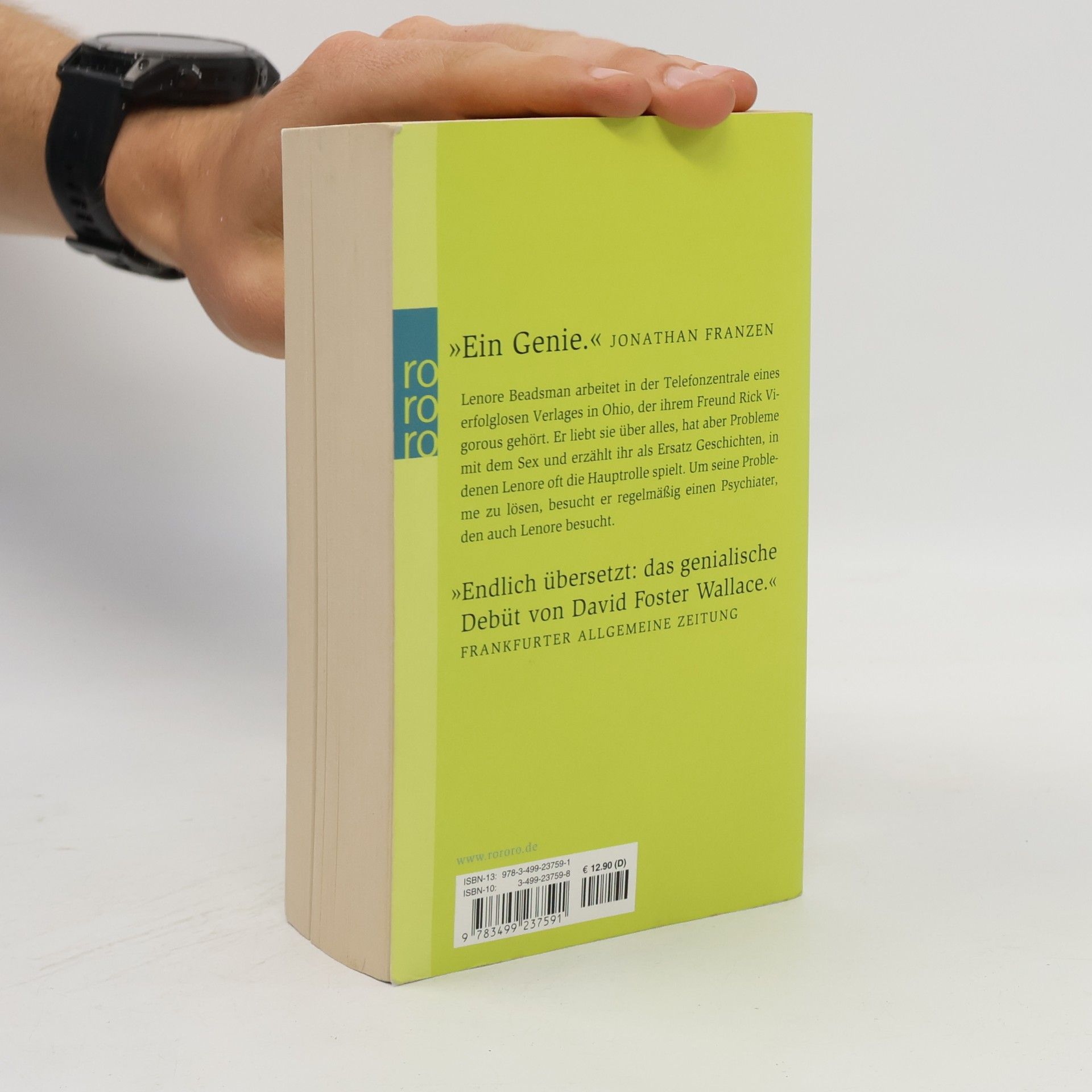 David Foster Wallace Der Besen im System