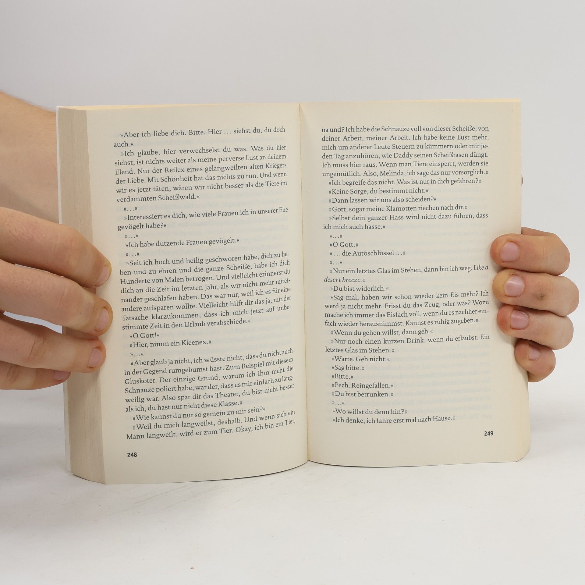 David Foster Wallace Der Besen im System