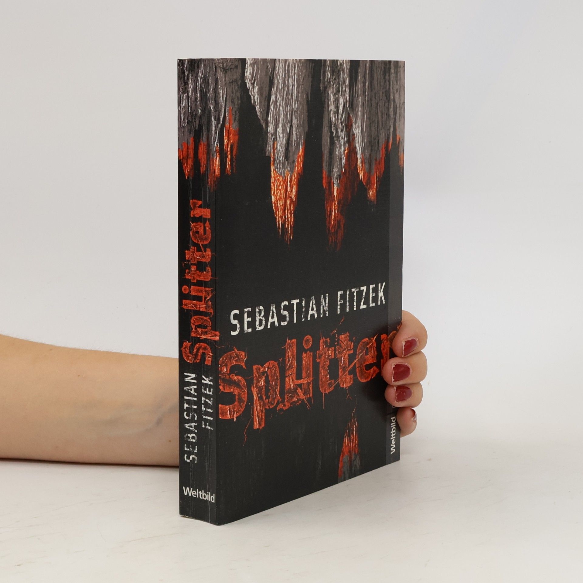 Sebastian Fitzek Splitter