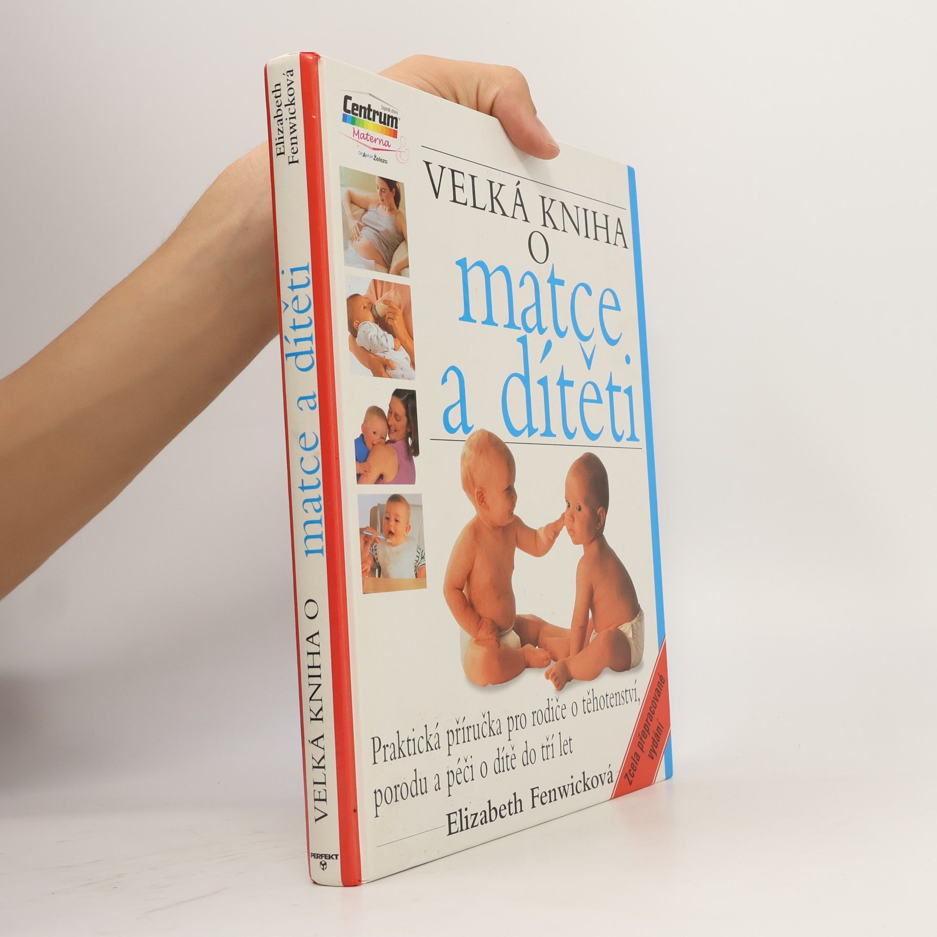 Elizabeth Fenwick Velká kniha o matce a dítěti