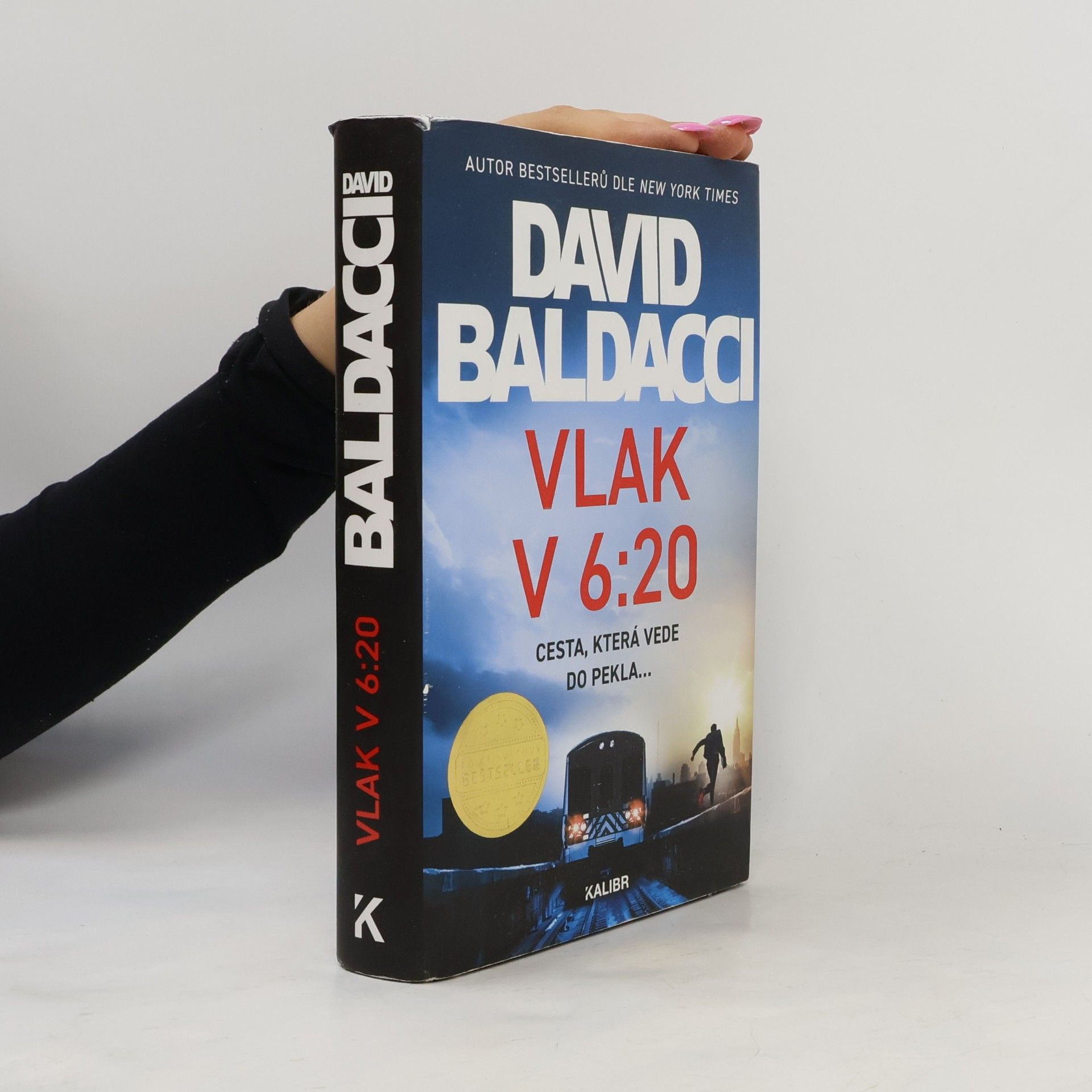 David Baldacci Vlak v 6:20