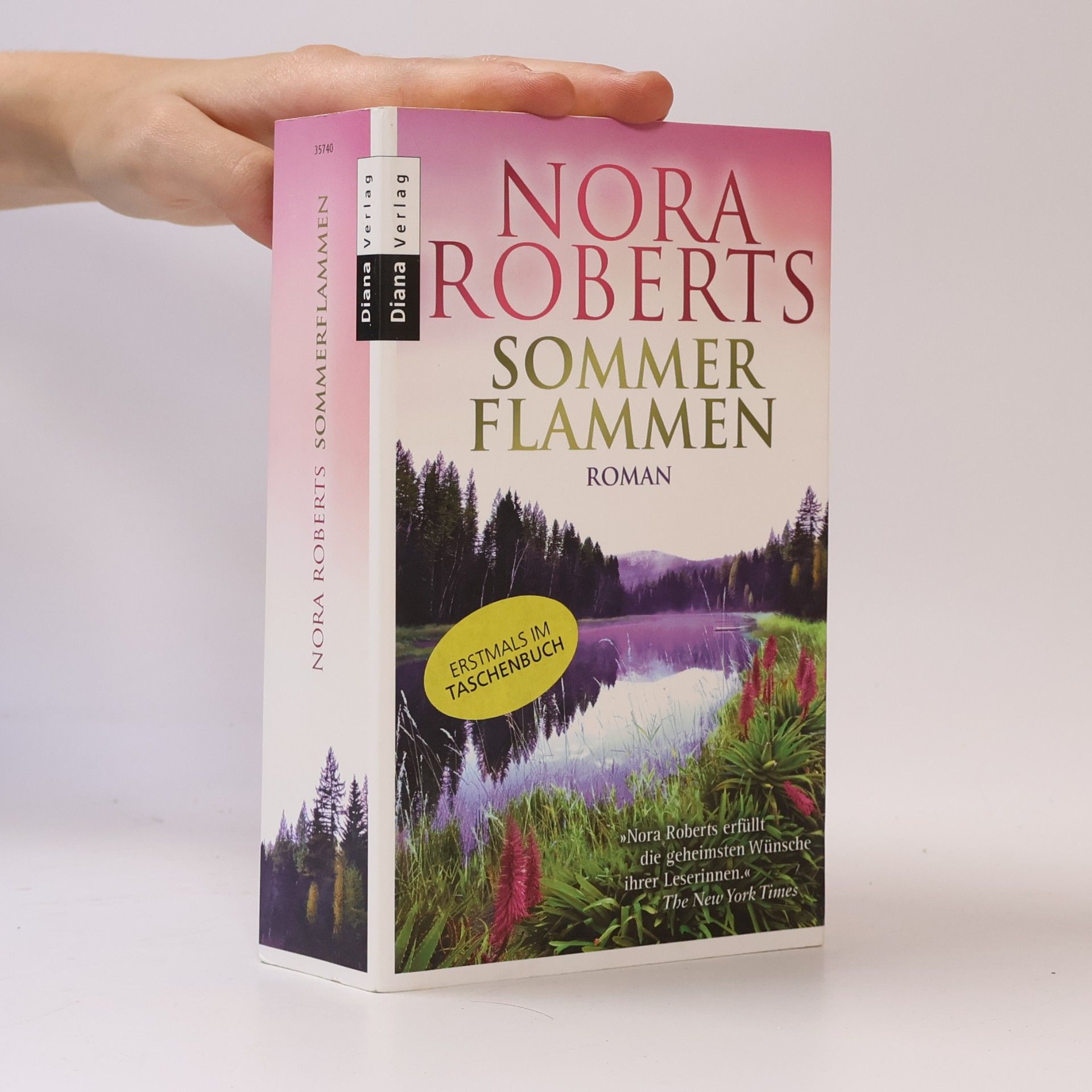 Nora Roberts Sommer Flammen