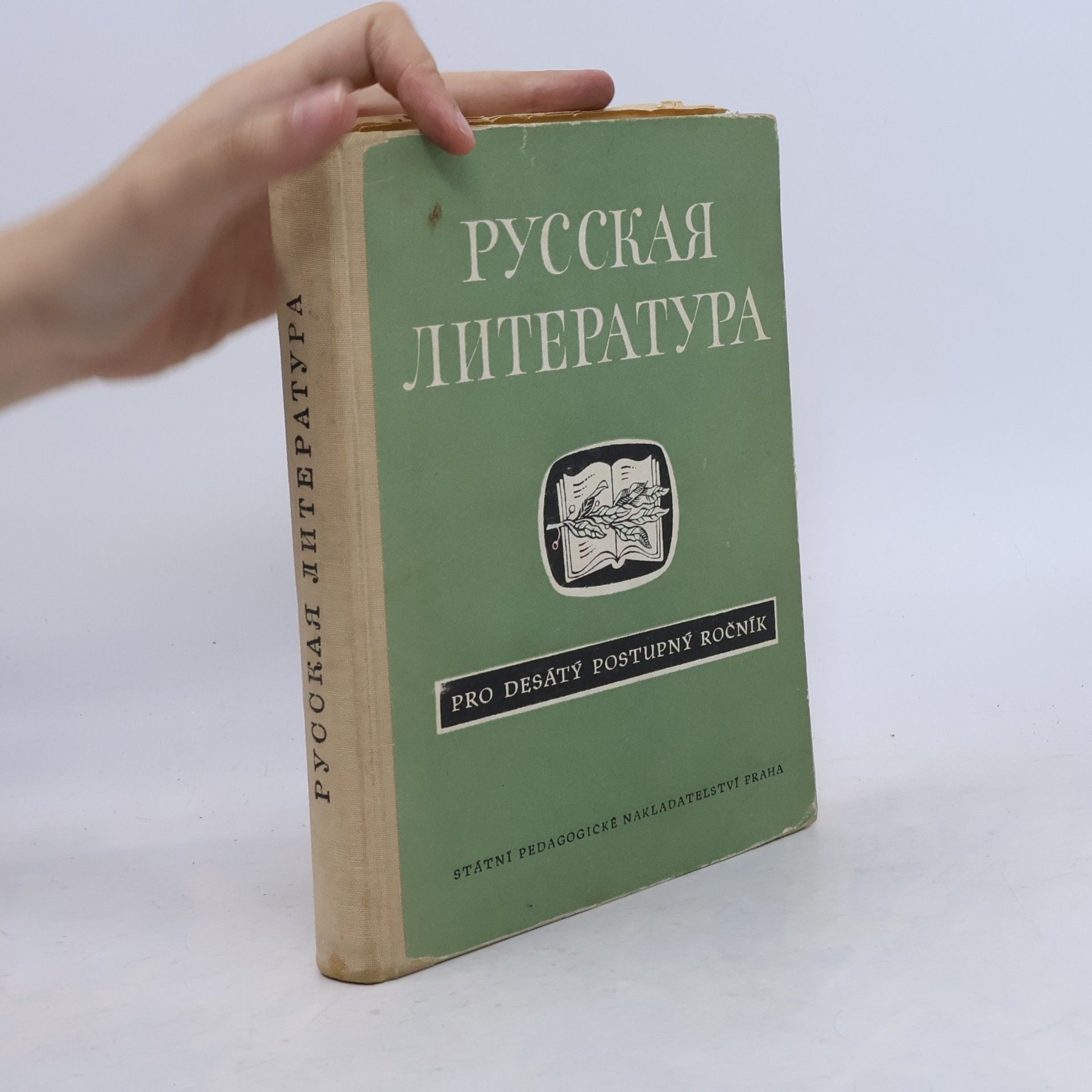 Русская литература. Pro 10 postupný ročník