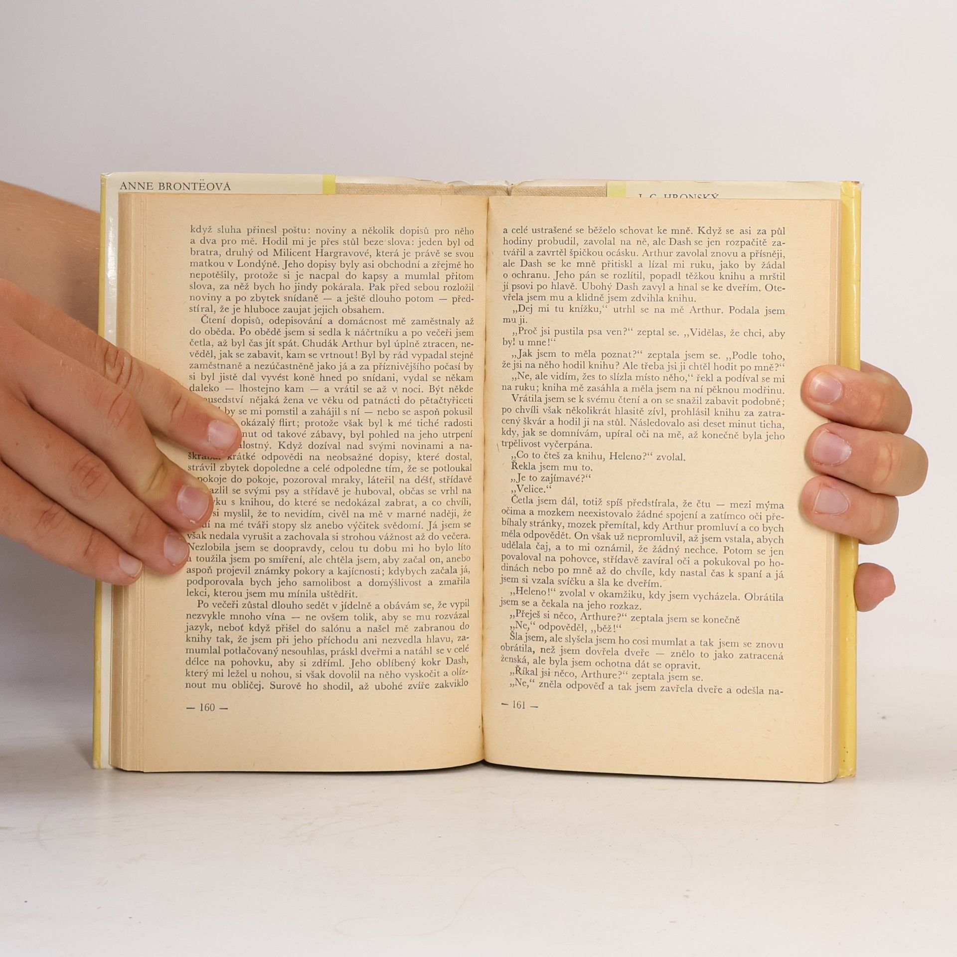 Anne Brontë Dvojí život Heleny Grahamové