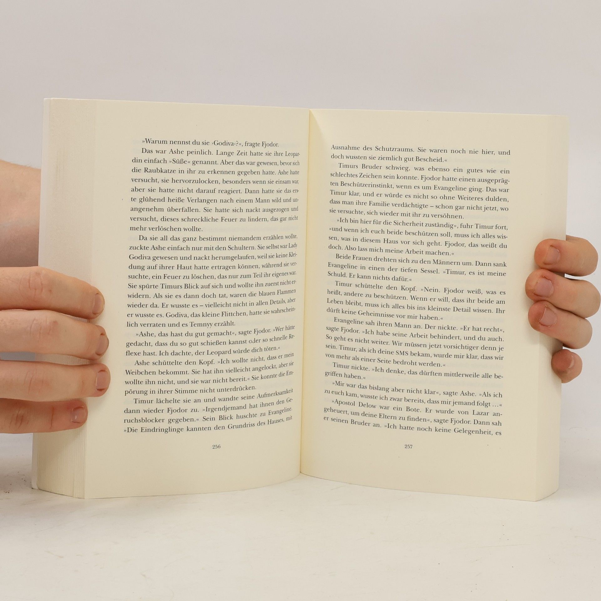 Christine Feehan Flammen der Magie