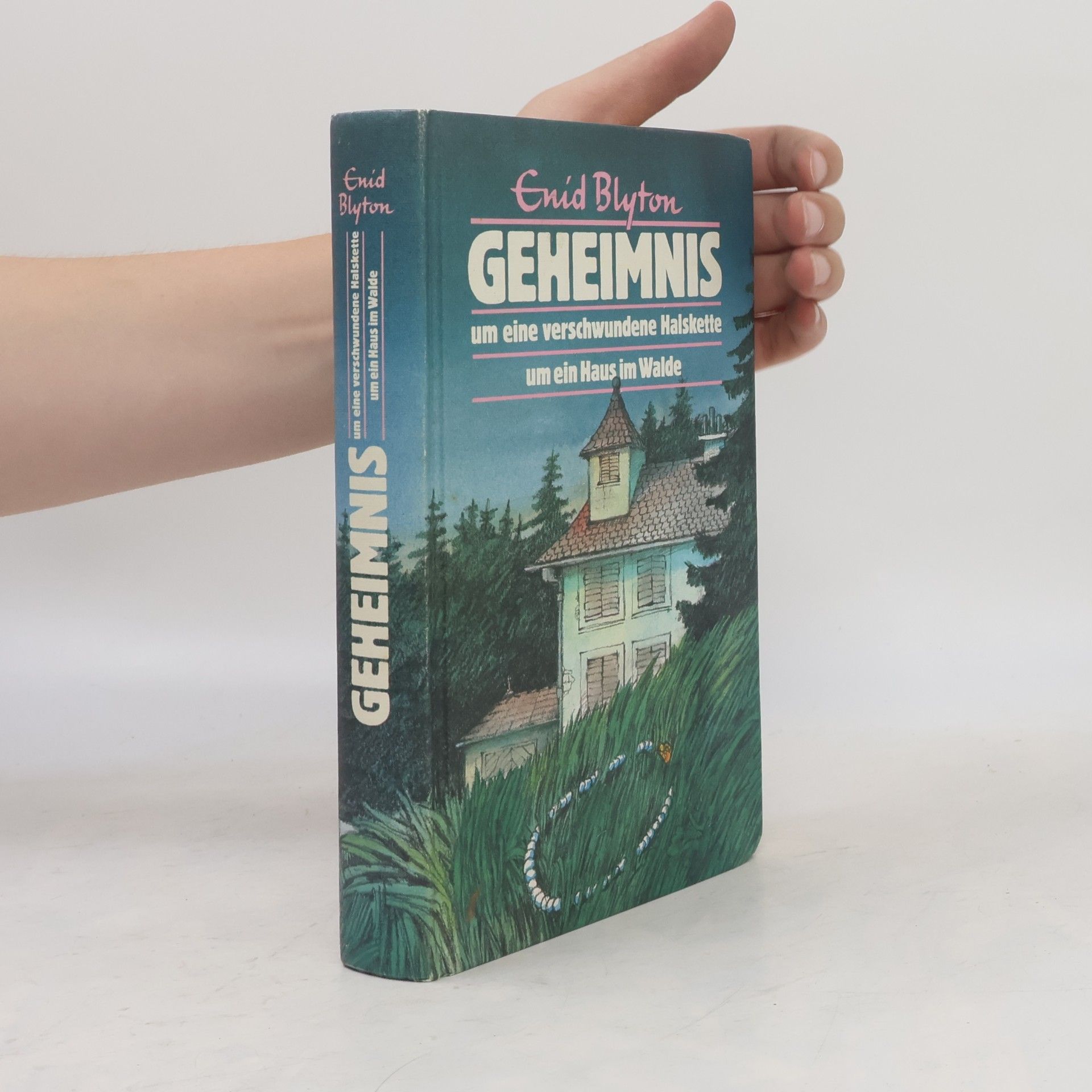 Enid Blyton Geheimnis um eine verschwundene Halskette um ein Haus im Walde