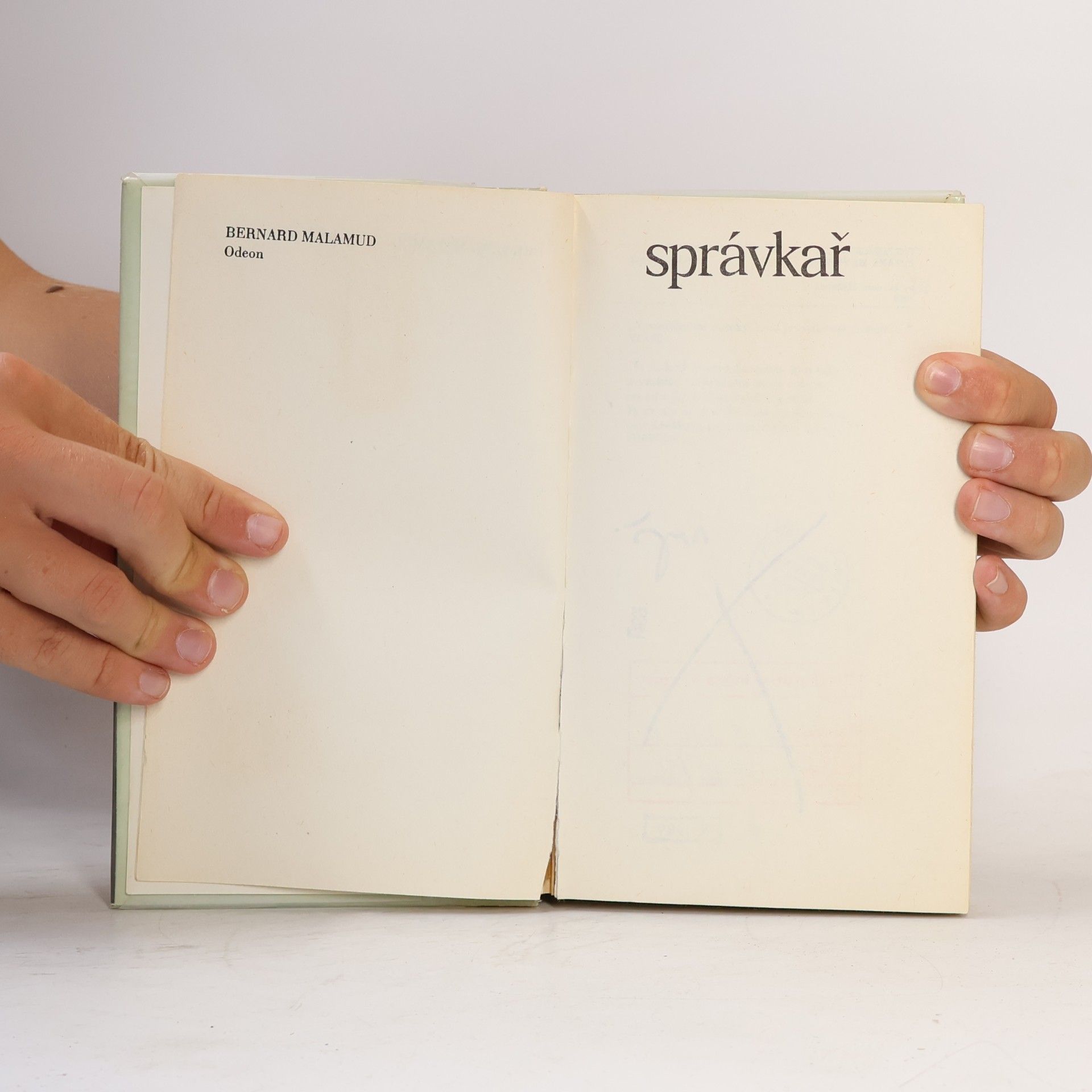 Bernard Malamud Správkař