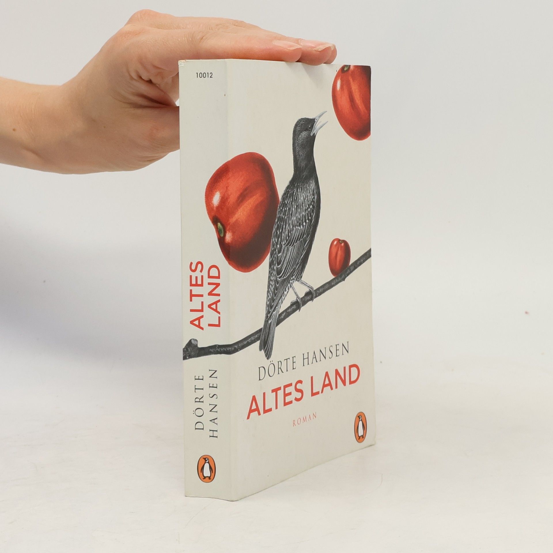 Dörte Hansen Altes Land