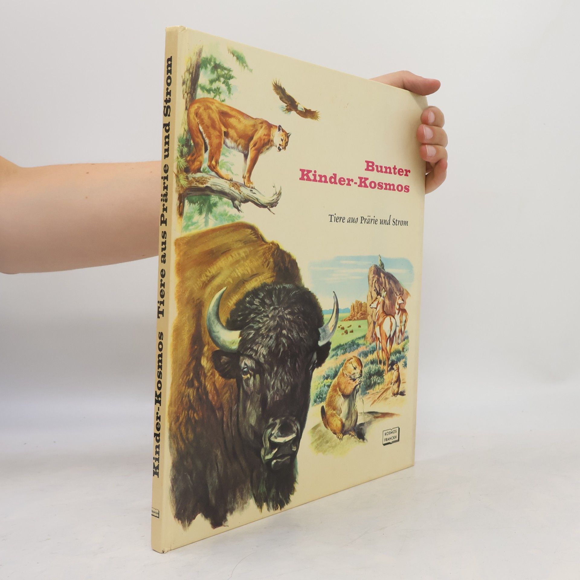 Rinaldo D. D'Ami Bunter Kinder-Kosmos. Tiere aus Prärie und Strom