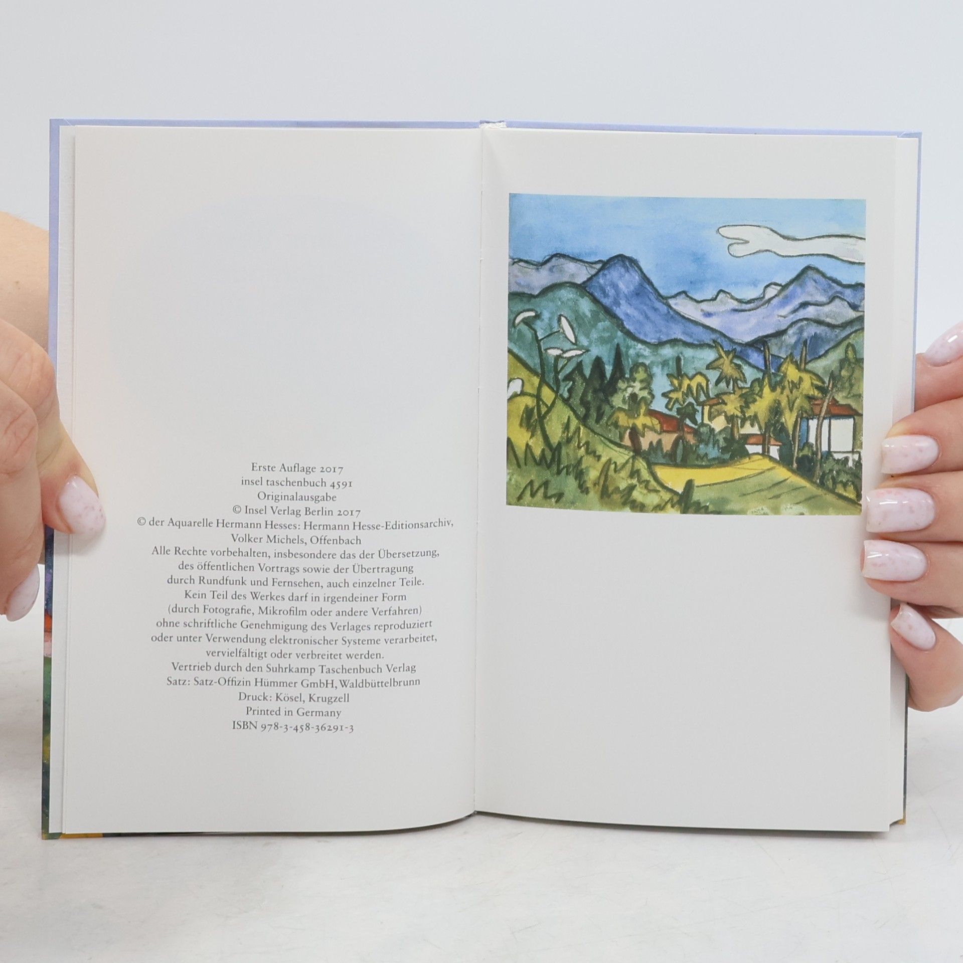 Hermann Hesse Inseltaschenbuch: Insel-Kalender für das Jahr 2018