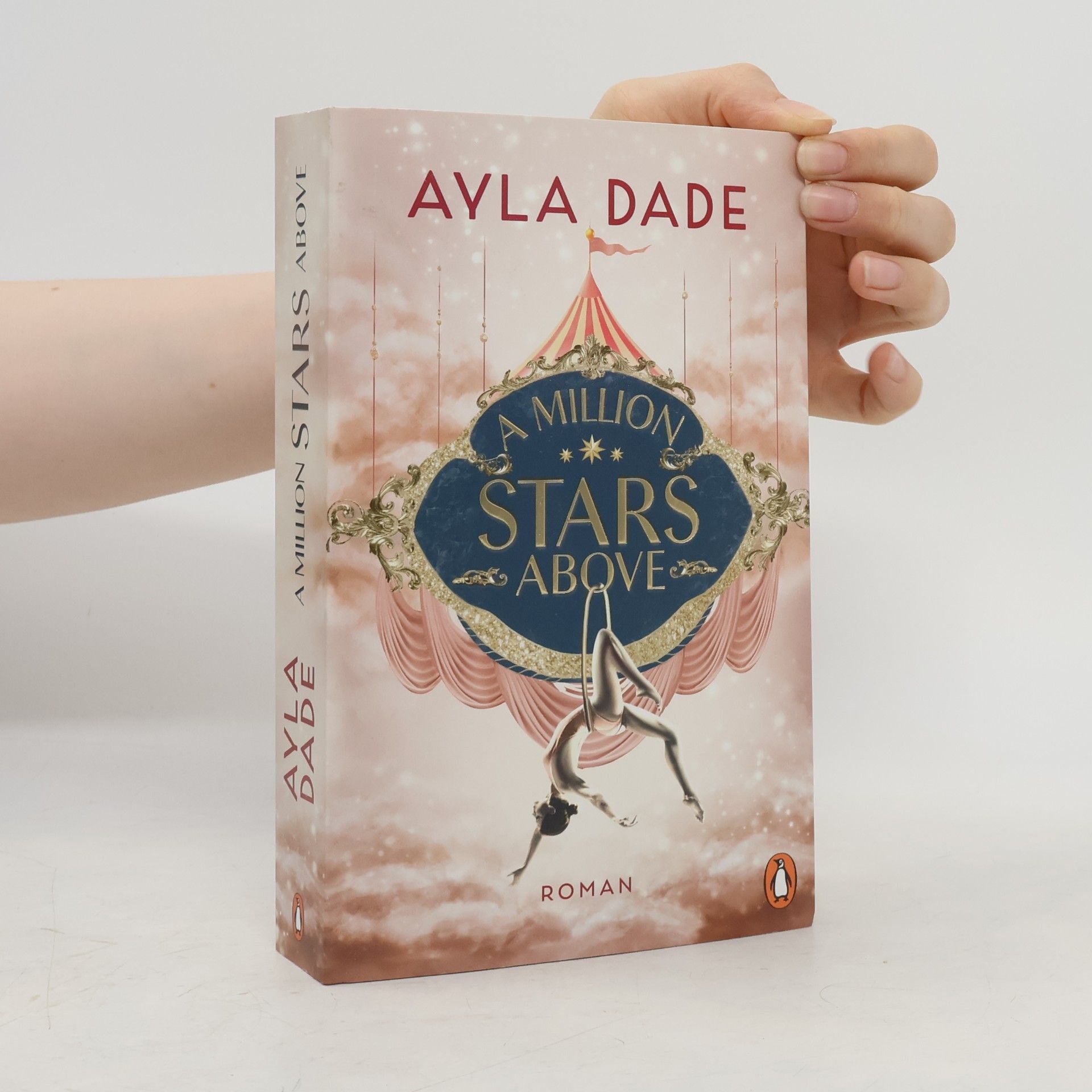Ayla Dade A Million Stars Above / Sky Circus Bd.1