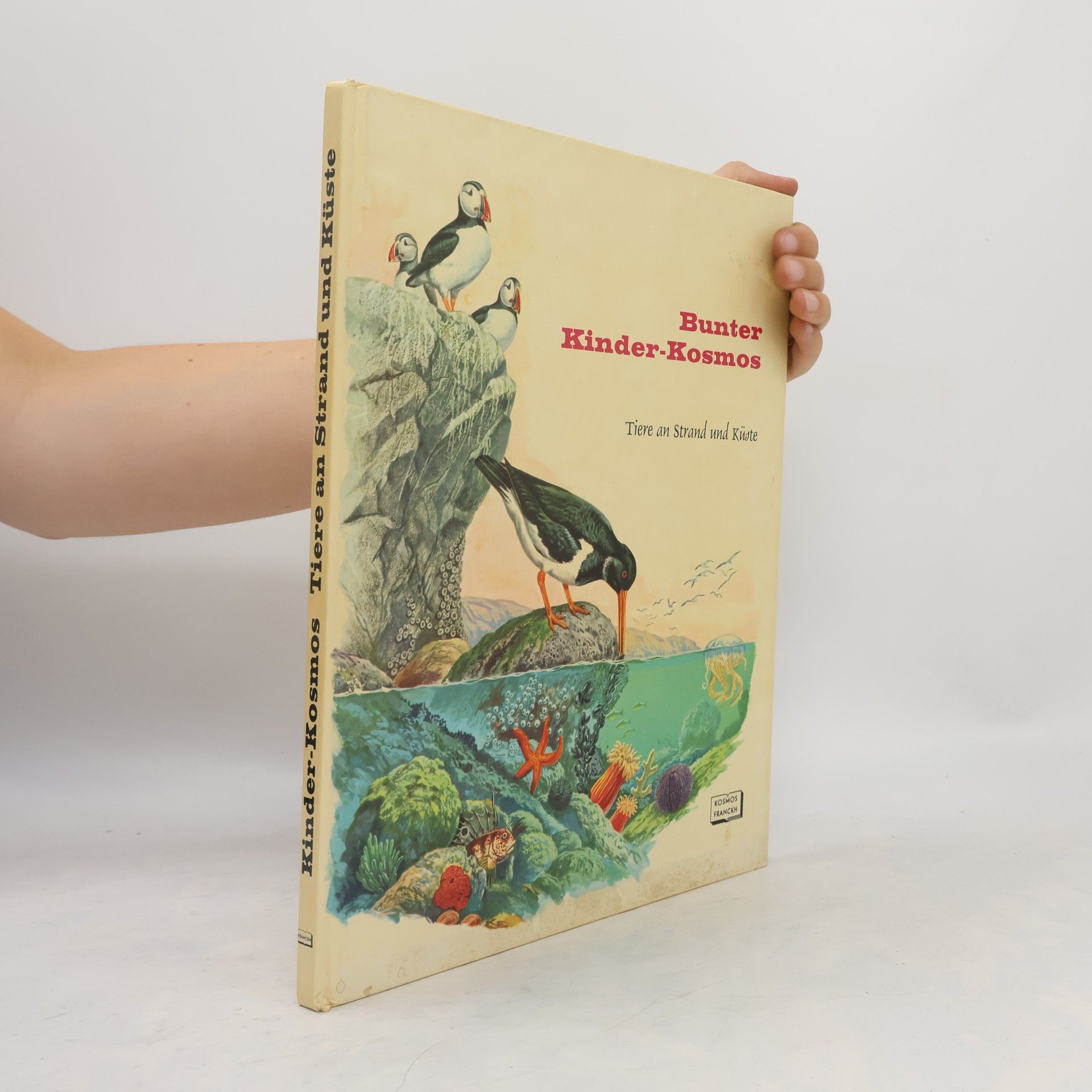 Rinaldo D. D'Ami Bunter Kinder-Kosmos. Tiere an Strand und Küste