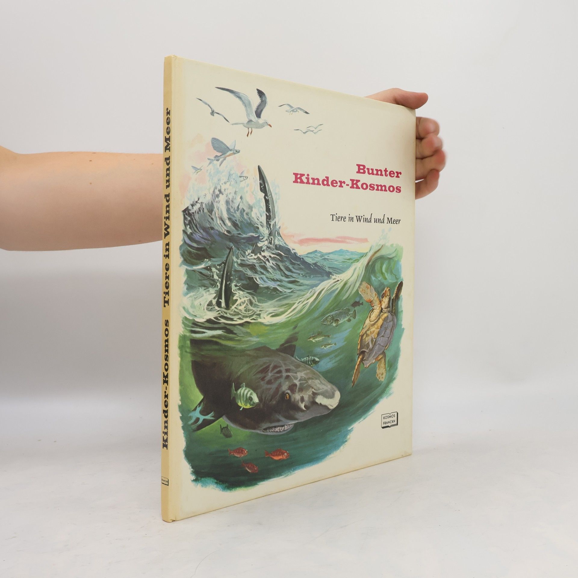 Rinaldo D. D'Ami Tiere in Wind und Meer