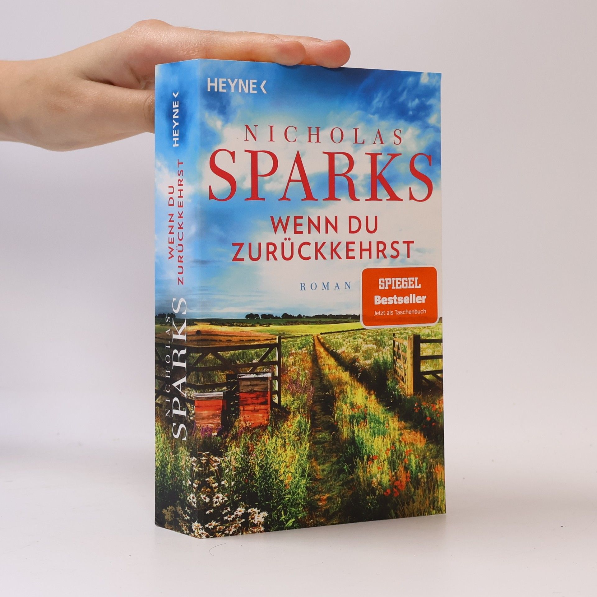 Nicholas Sparks Wenn du zurückkehrst