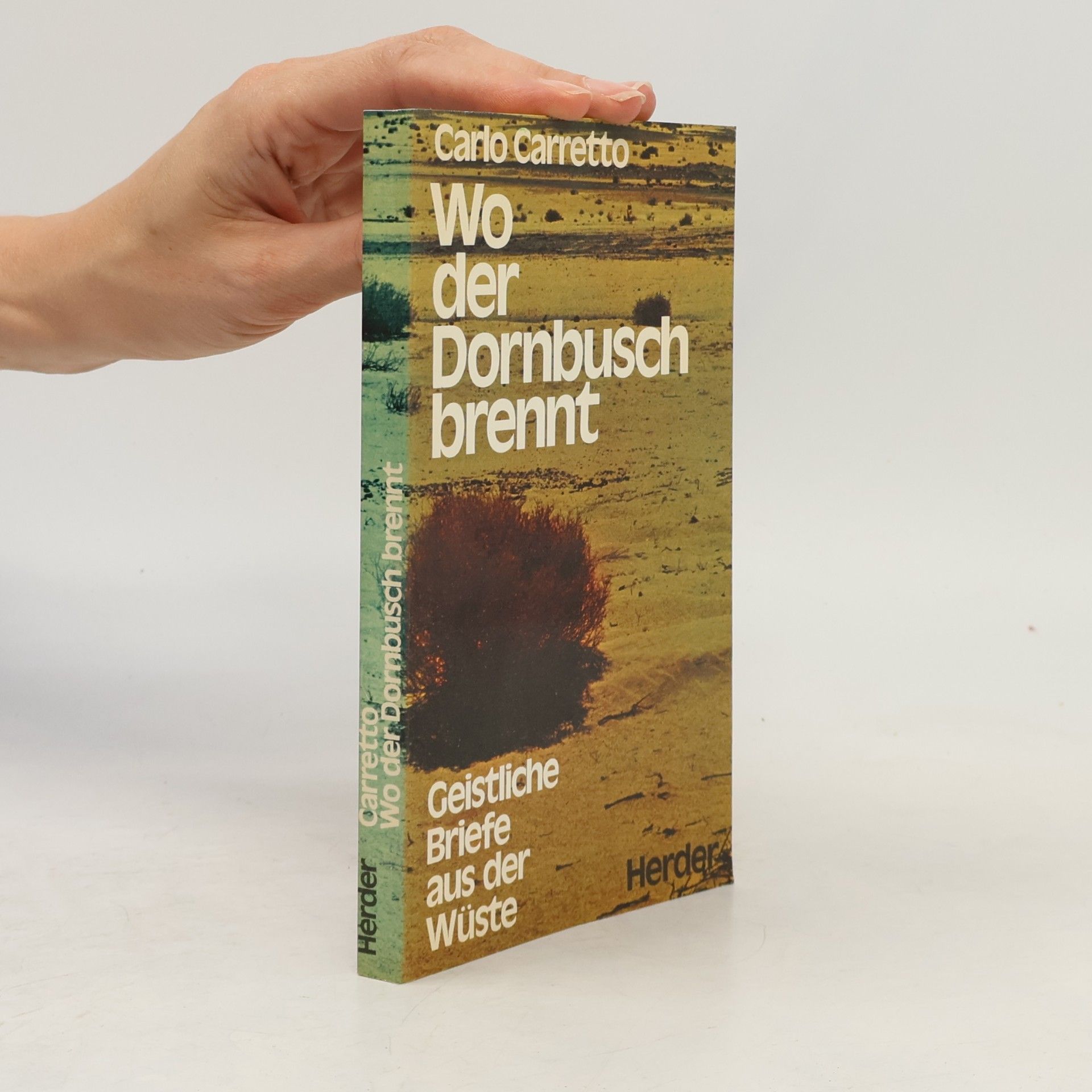 Carlo Carretto Wo der Dornbusch brennt