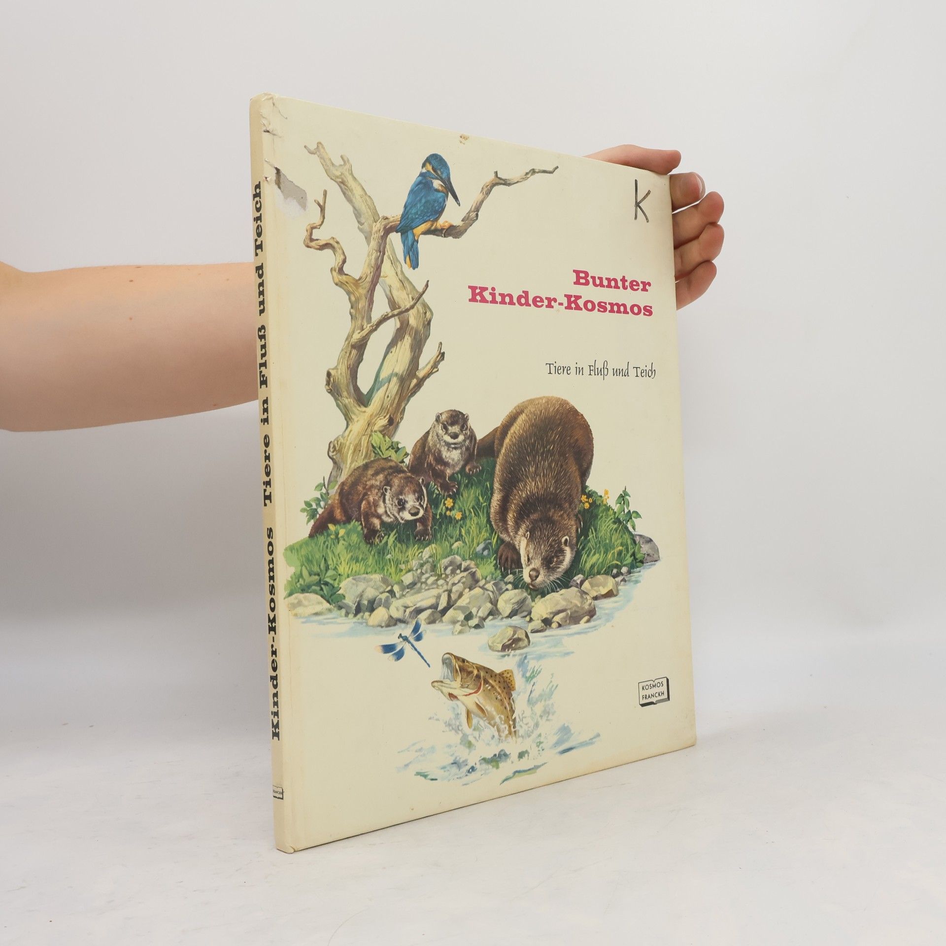 Autorenkollektiv Tiere in Fluss und Teich