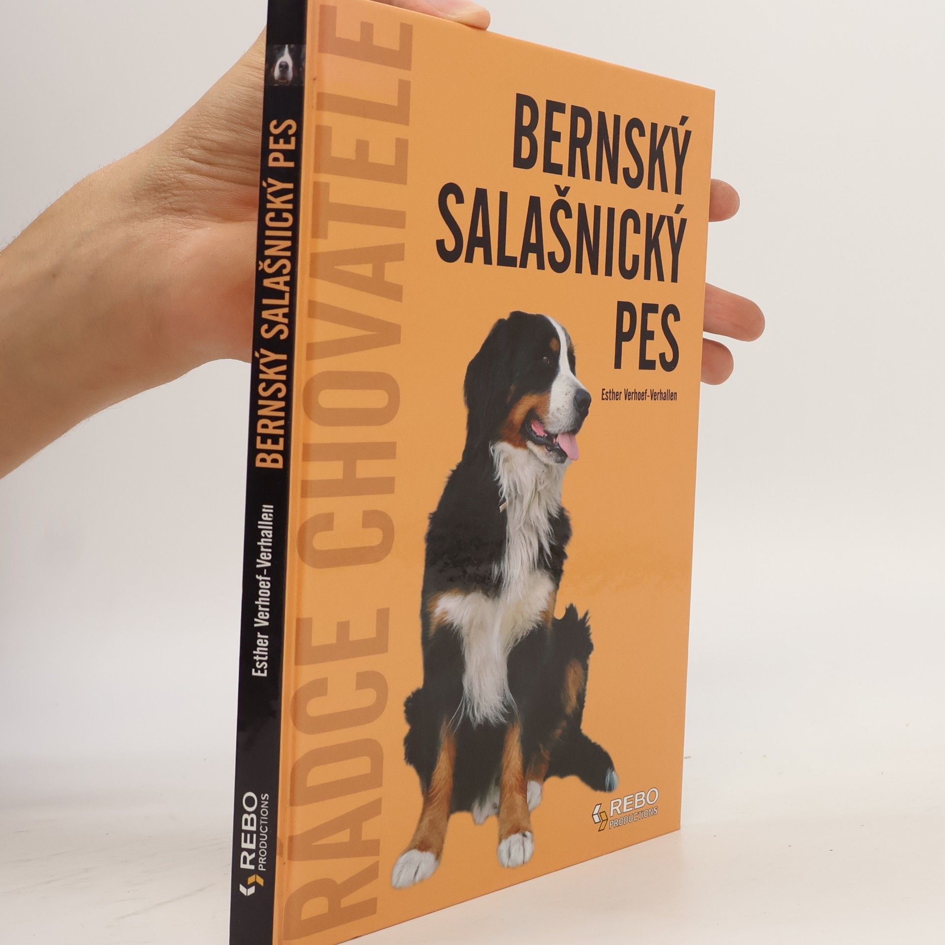 Berry Verhoef Bernský salašnický pes