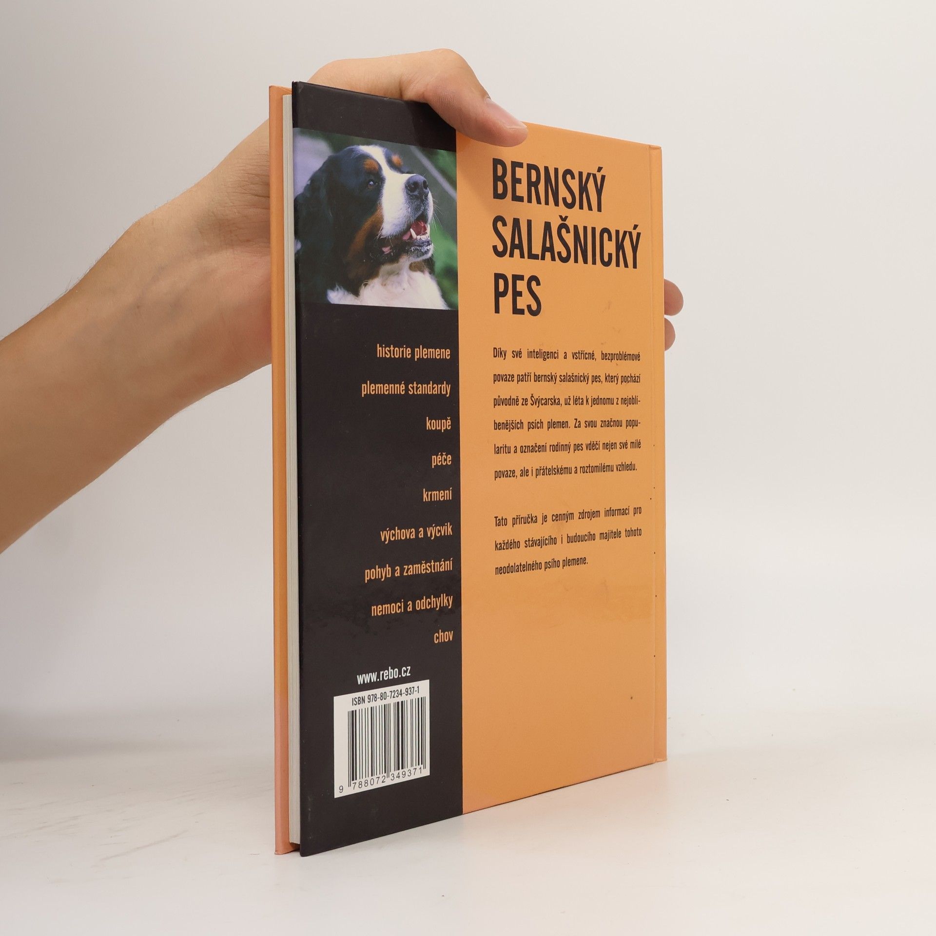 Berry Verhoef Bernský salašnický pes