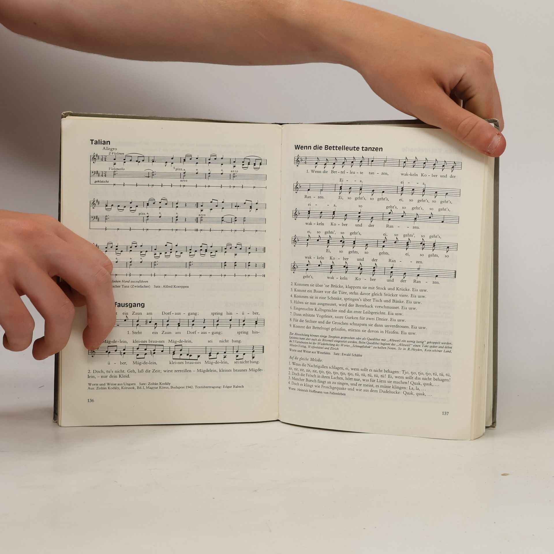 Kolektiv autorů Musik im Leben