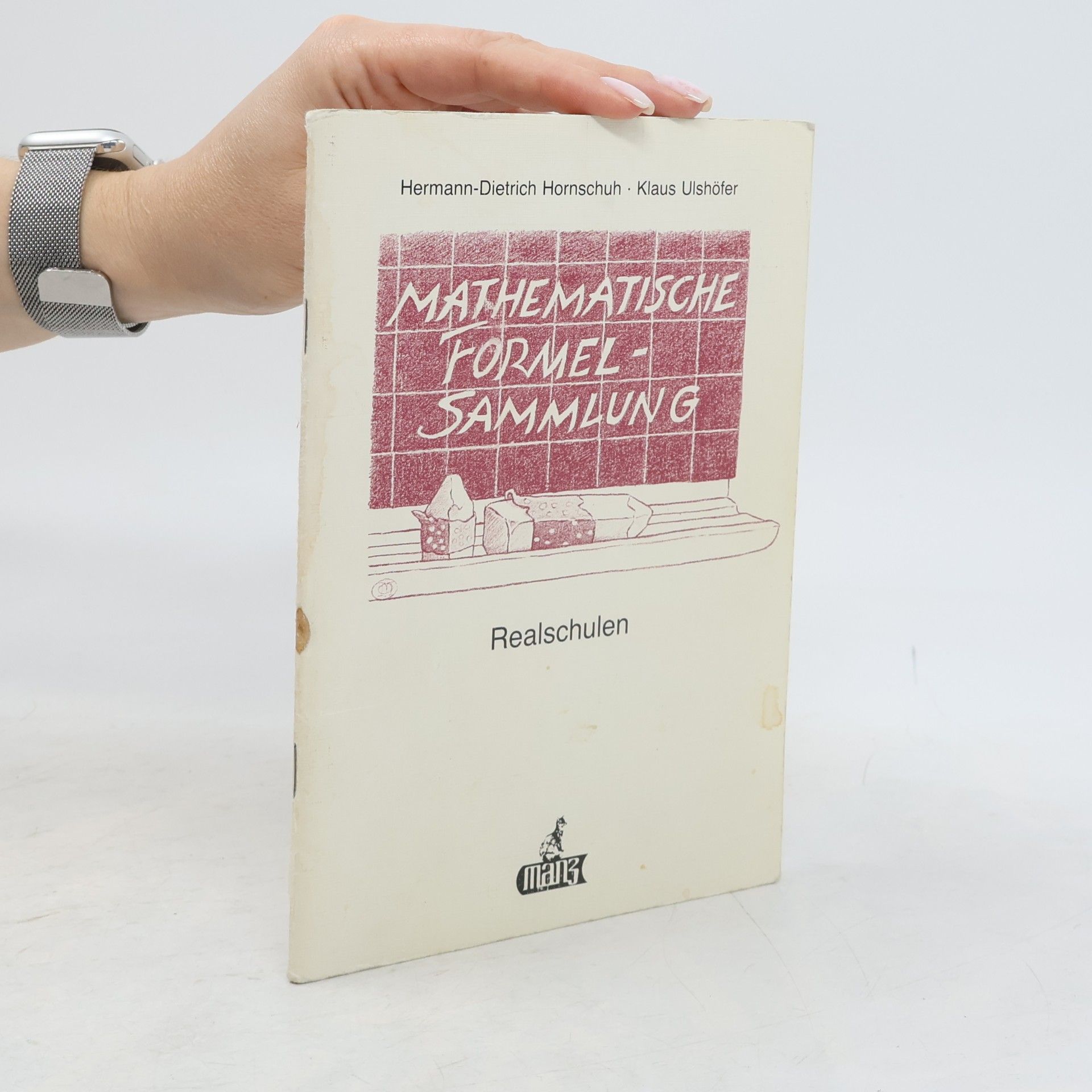 Mathematische Formelsammlung Realschule (Bundesausgabe)