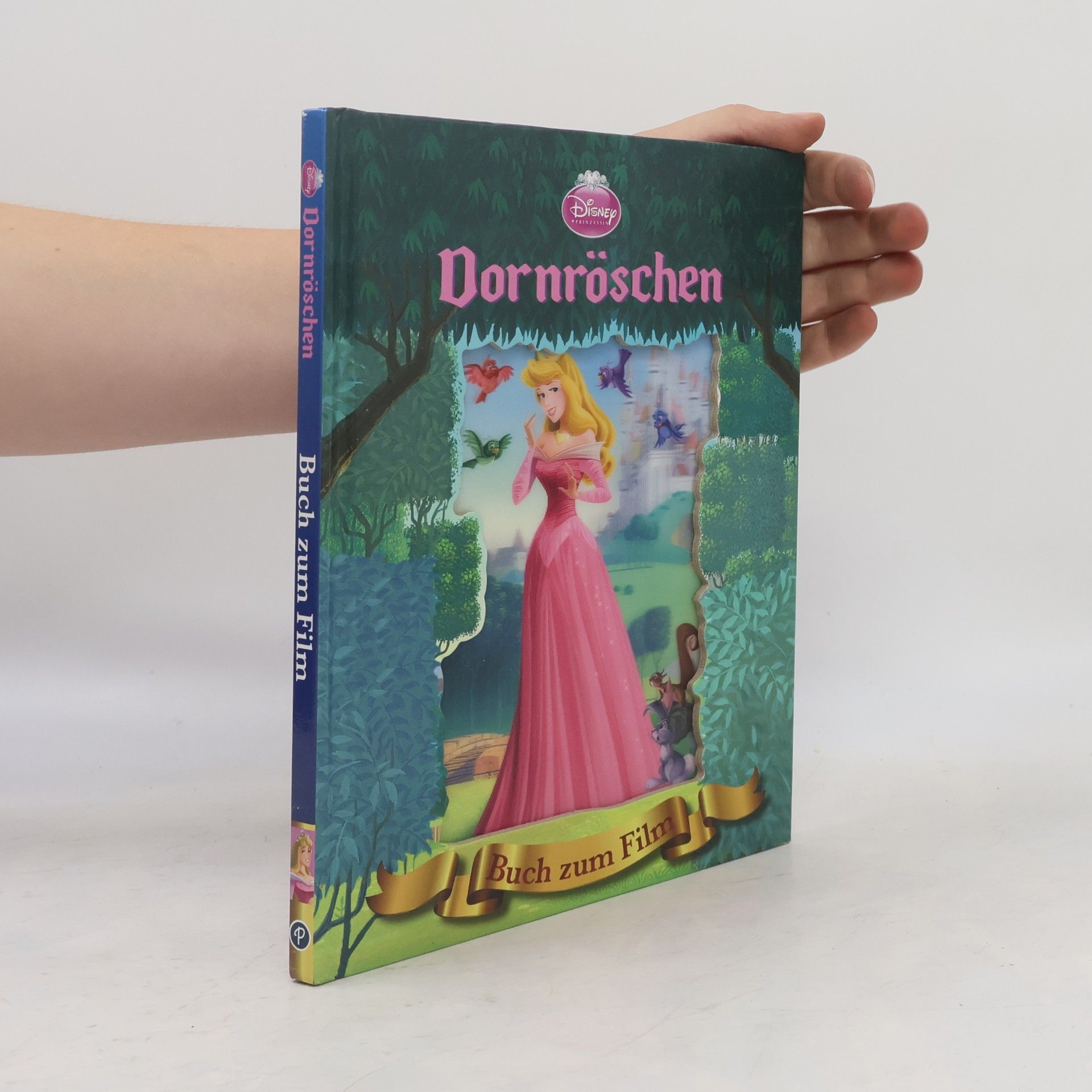 Kolektiv autorů Dornröschen