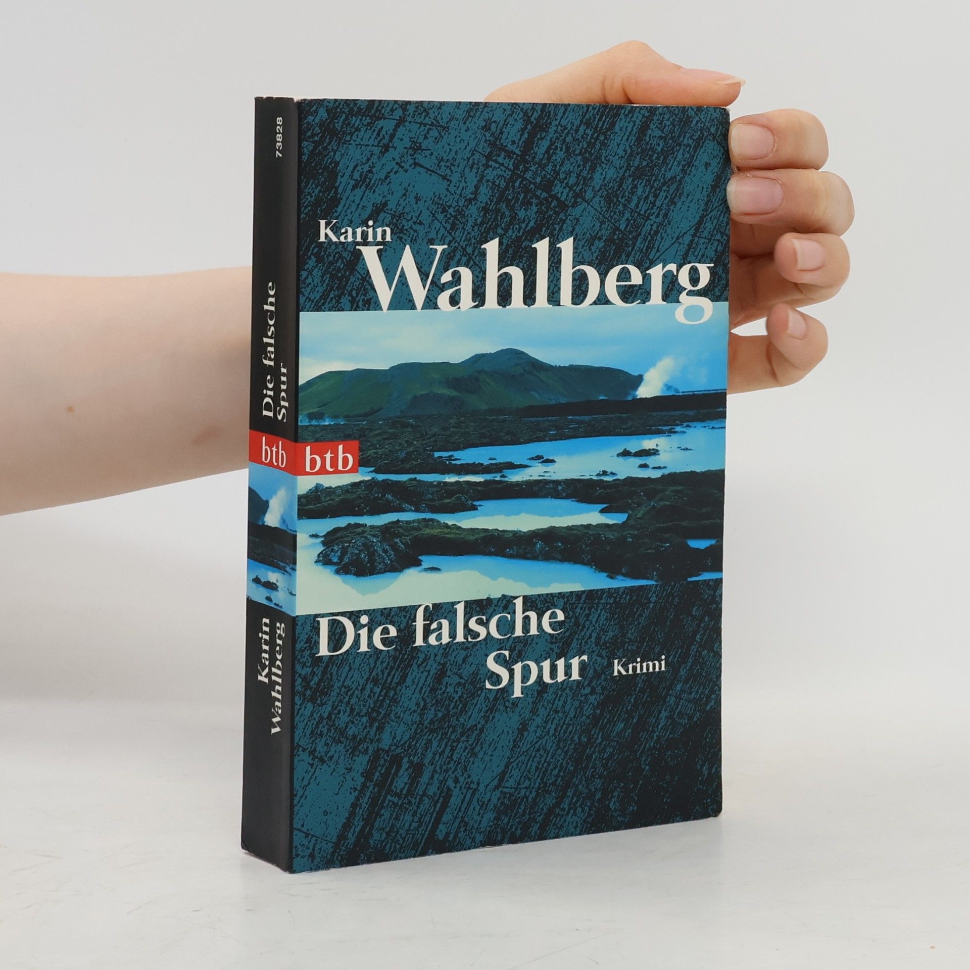 Karin Wahlberg Die falsche Spur