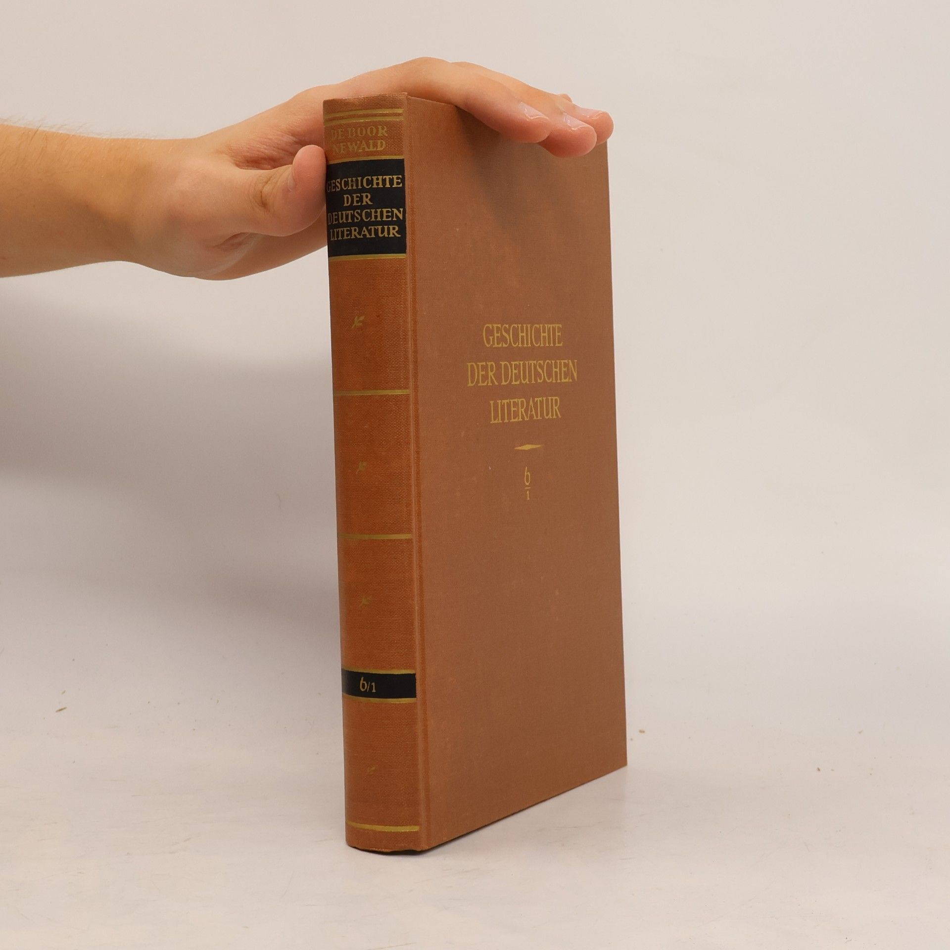 Geschichte der deutschen Literatur 6/1