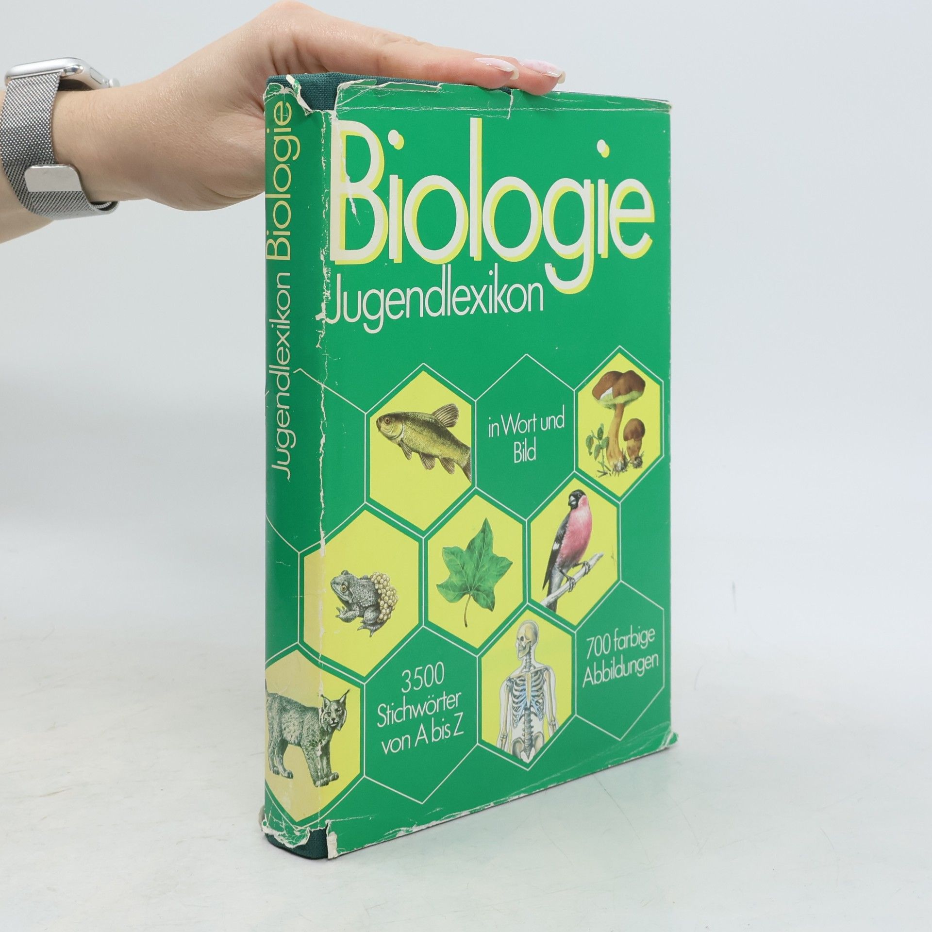 Collectif d'auteurs Biologie Jugendlexikon