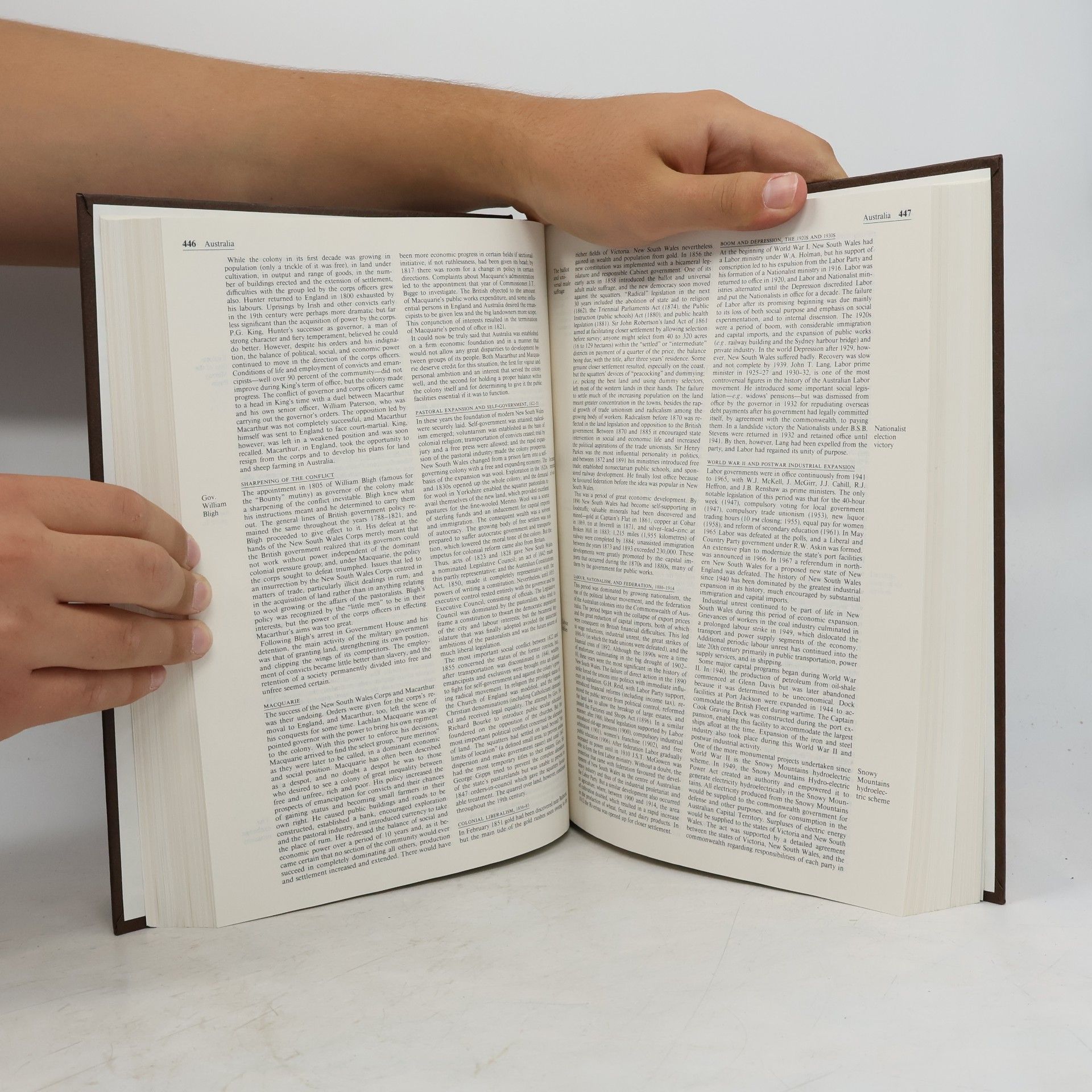 Philip W Goetz Macropædia: Knowledge in Depth - 24: Encyclopaedia Britannica, 1991 Set