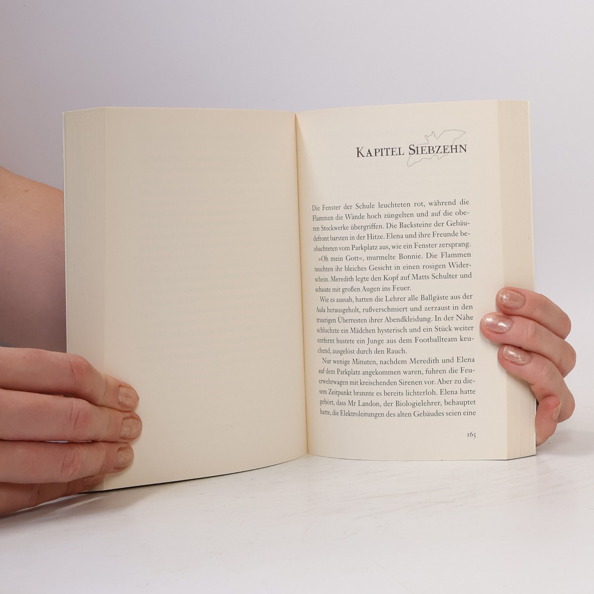 Lisa J. Smith Tagebuch eines Vampirs. Im Licht der Ewigkeit