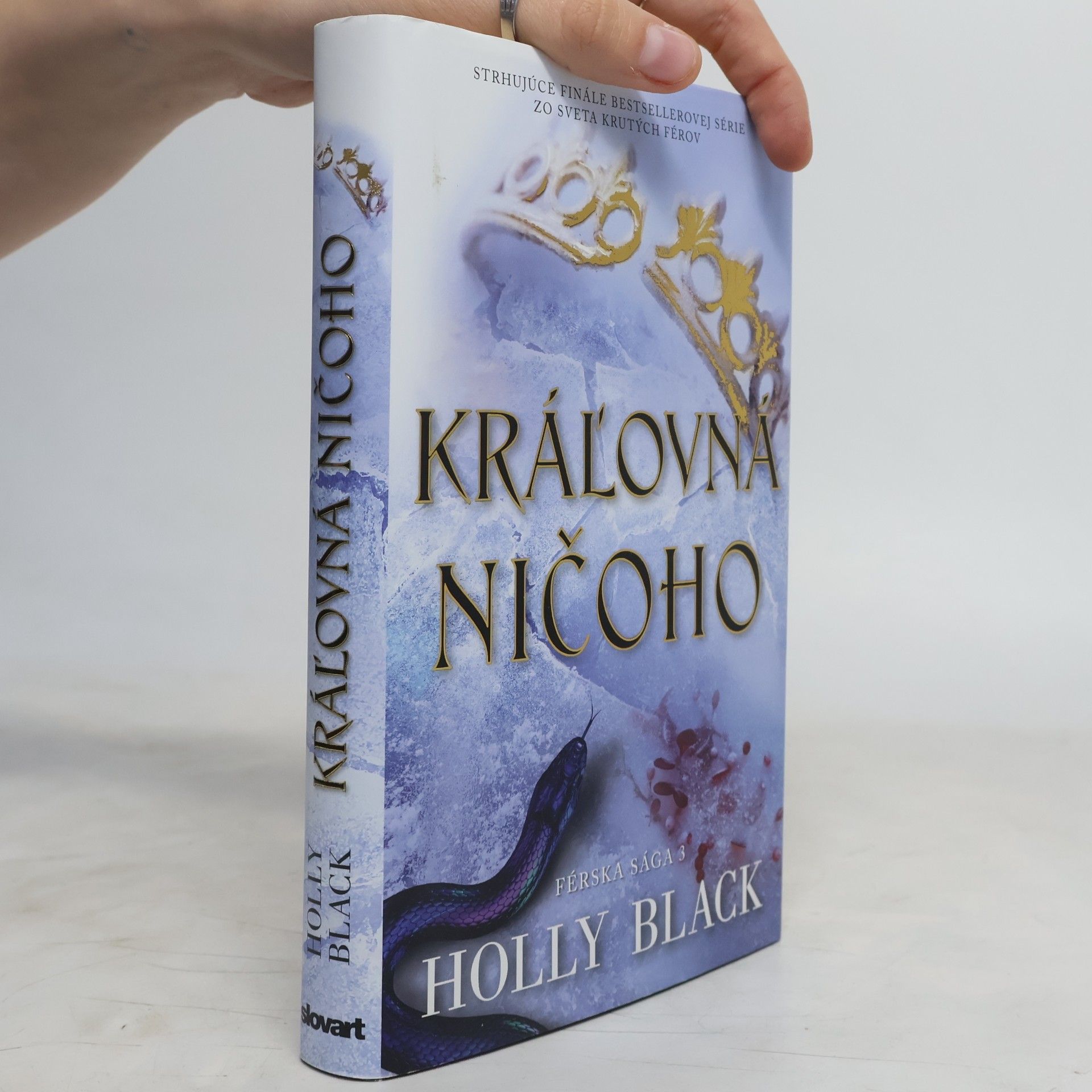 Holly Black Kráľovná ničoho