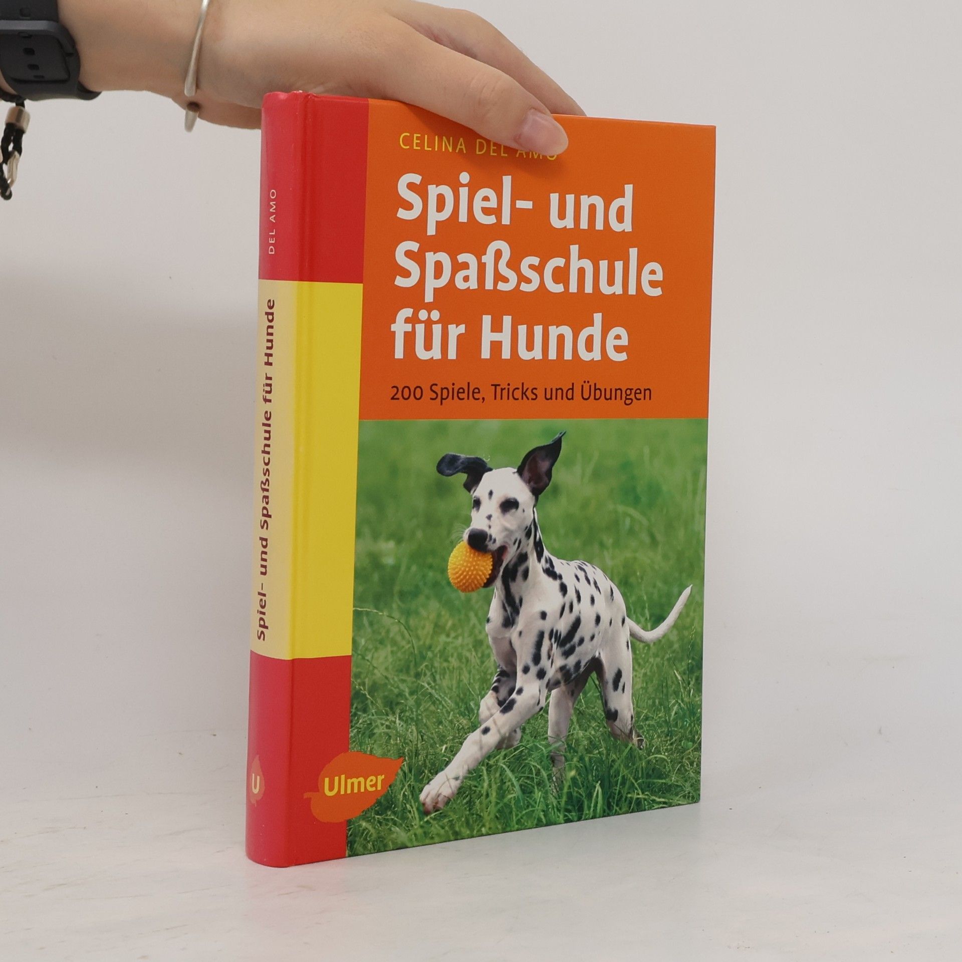 Celina Del Amo Spiel- und Spaßschule für Hunde