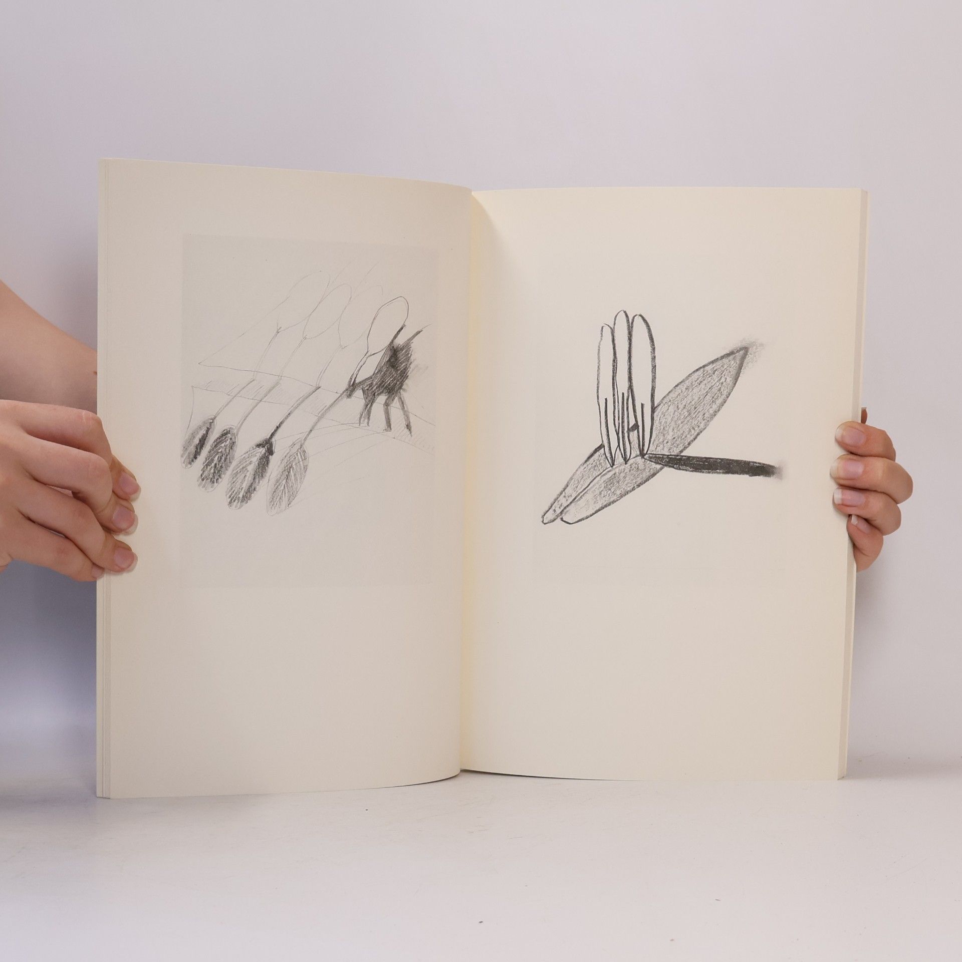 Renate Behla Einheit der Differenz