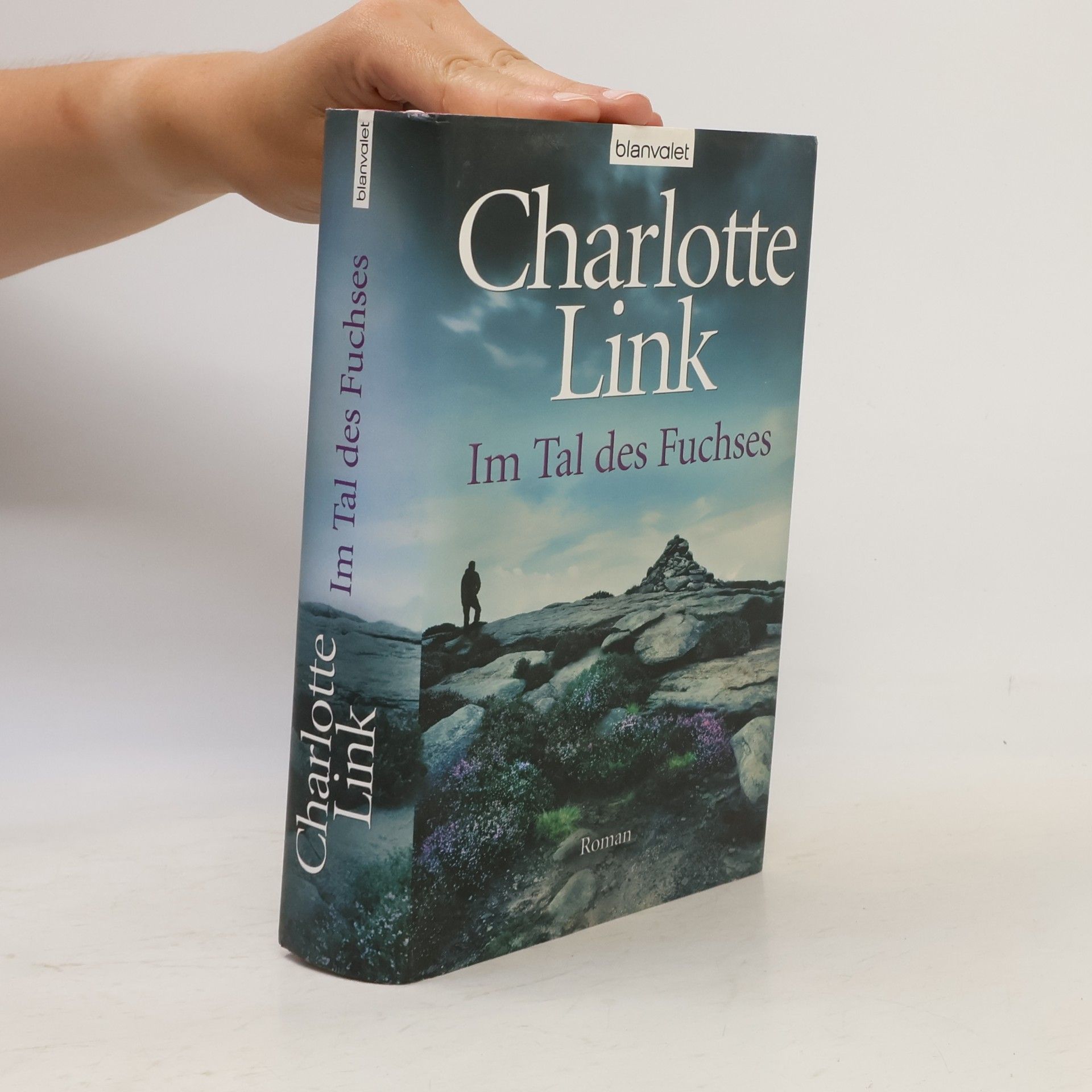 Charlotte Link Im Tal des Fuchses