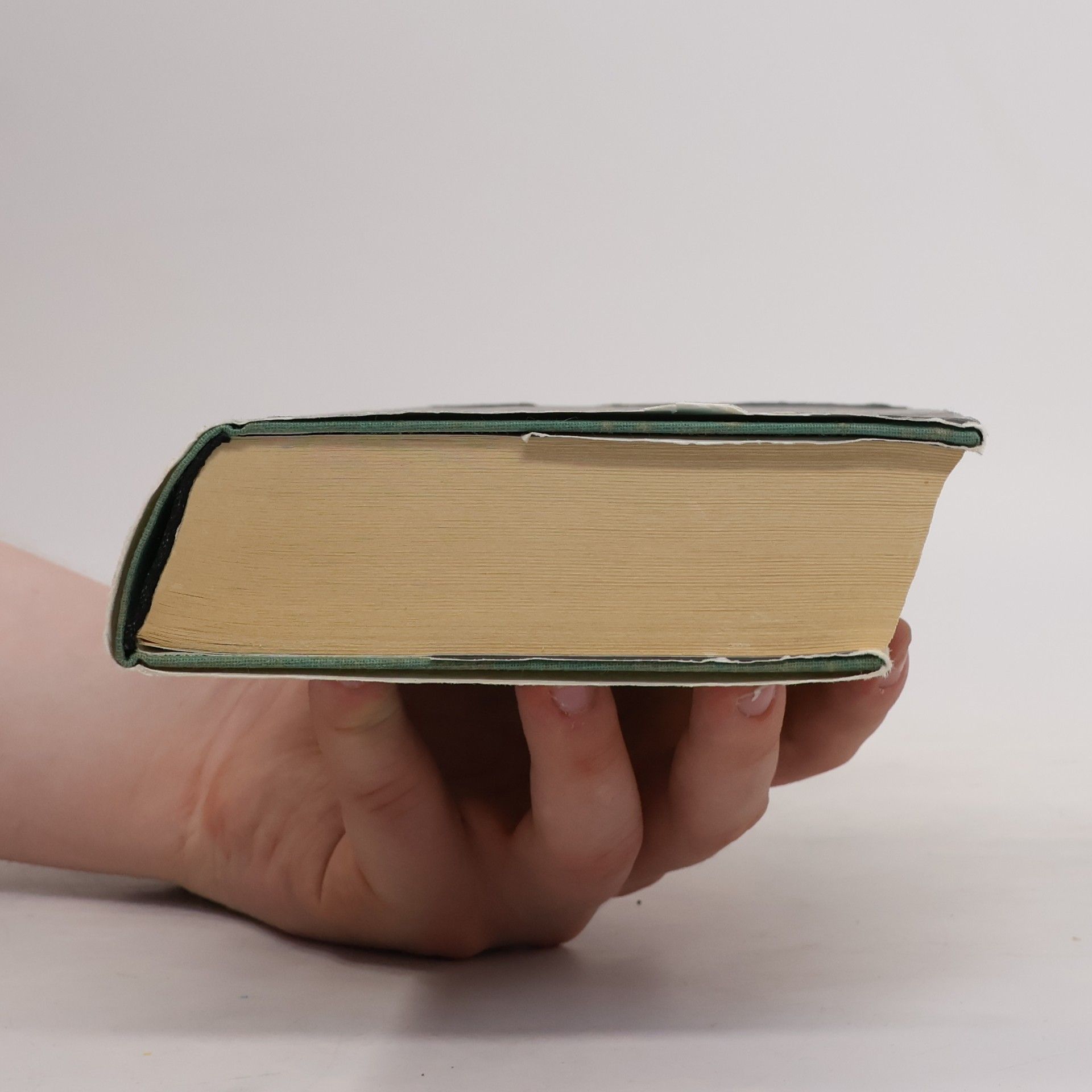 Angela Sommer Bodenburg Der kleine Vampir