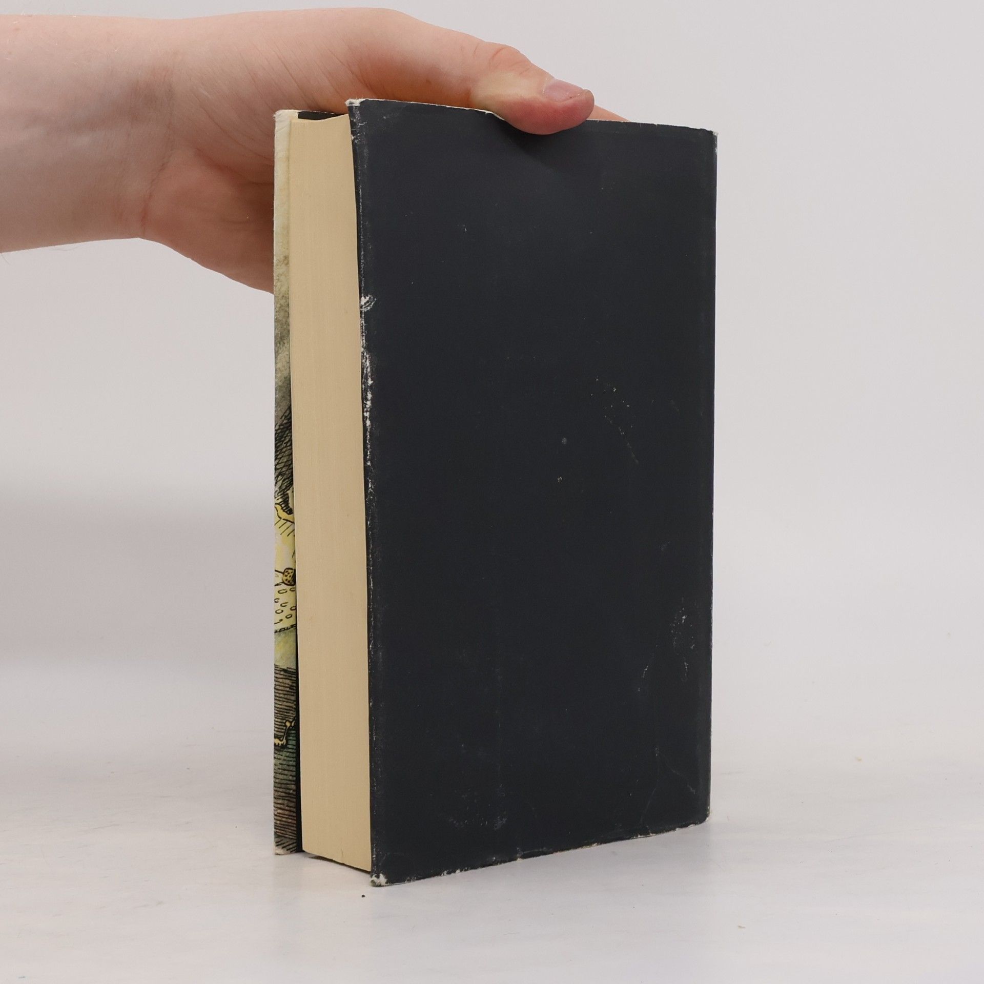 Angela Sommer Bodenburg Der kleine Vampir